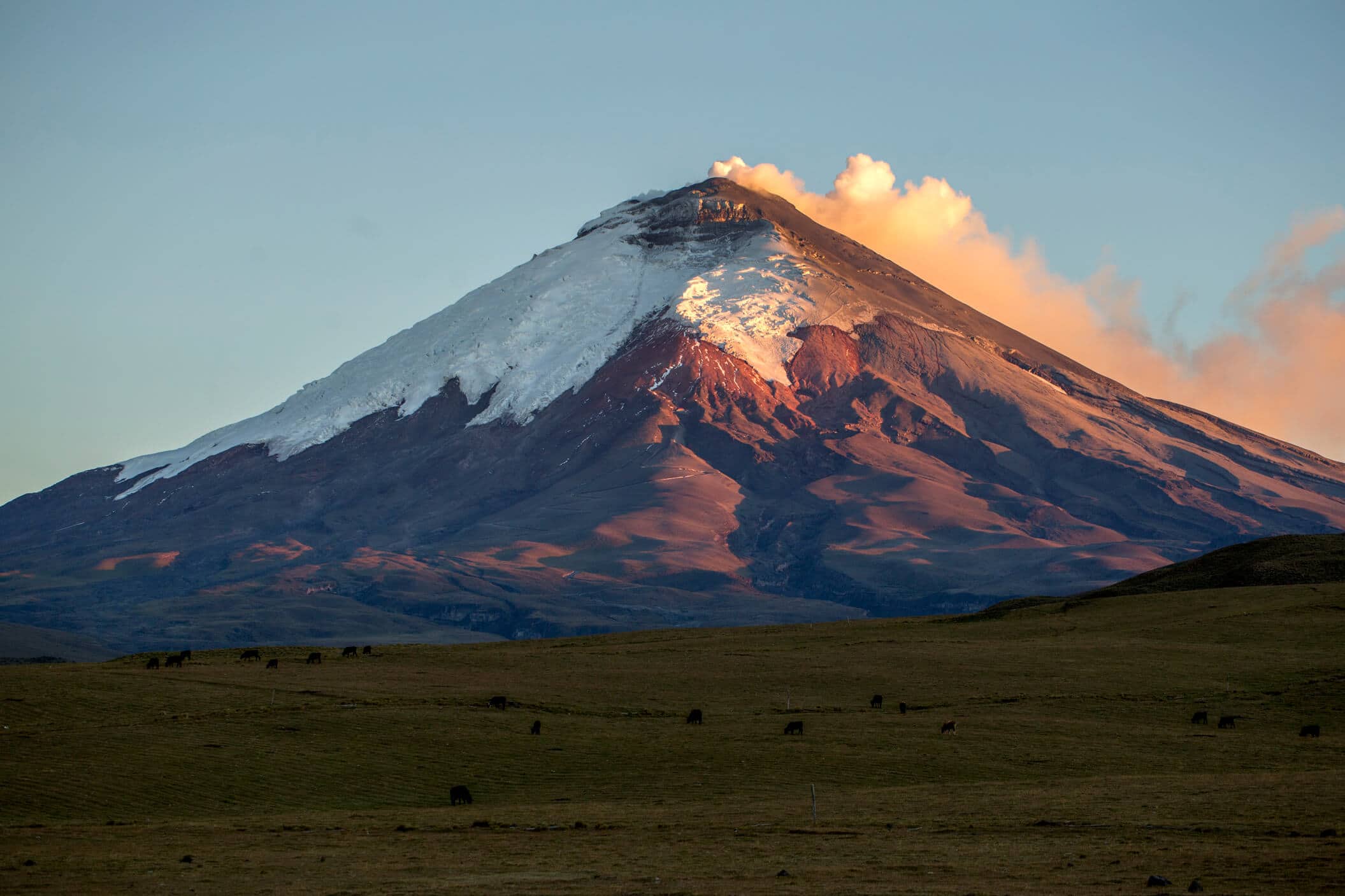 All you need to know about Cotopaxi National Park