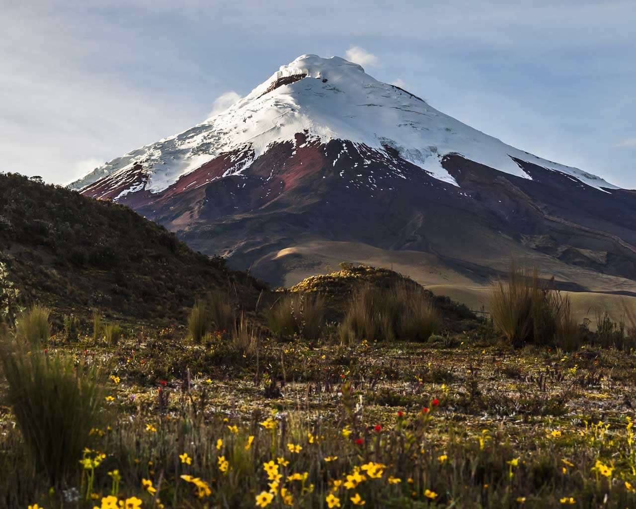 Cotopaxi and the avenue of volcanoes