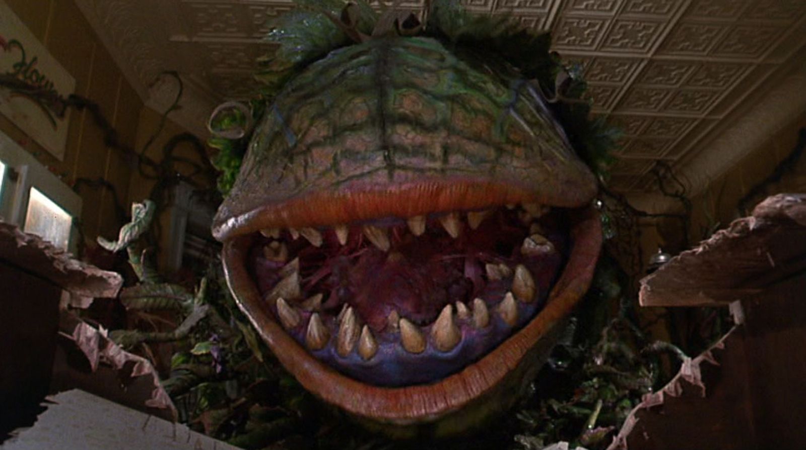 Little Shop Of Horrors wallpaper, Movie, HQ Little Shop Of