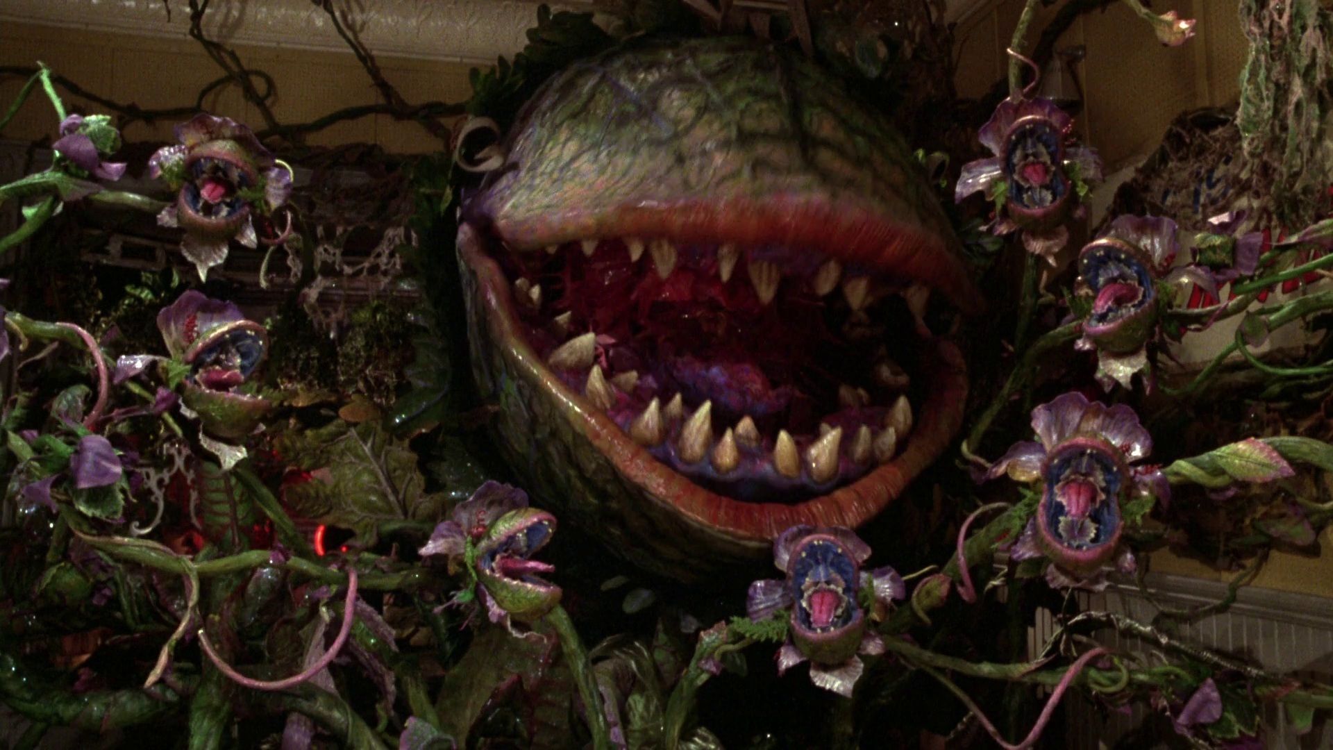 Chosen One of the Day: Audrey II from Little Shop of Horrors