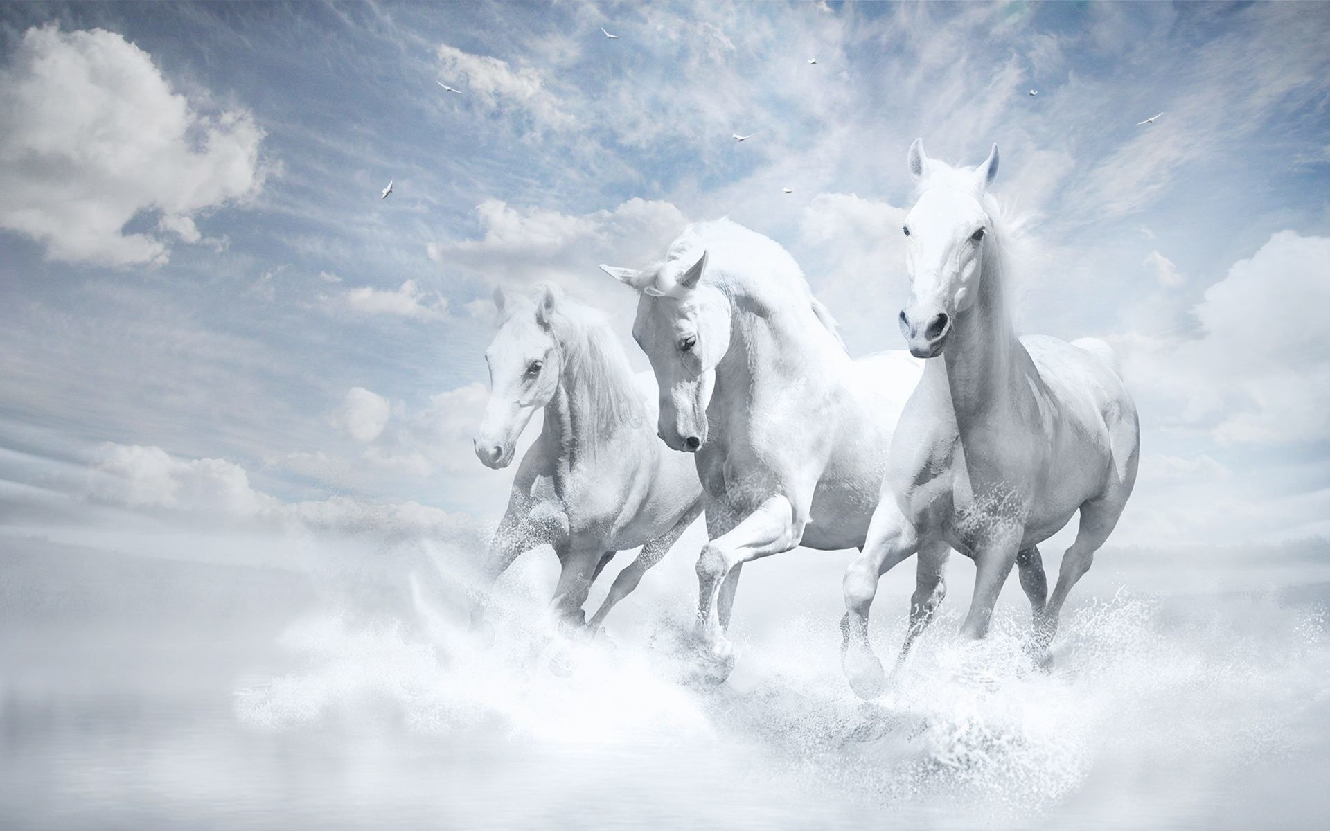 Running Horses Wallpaper