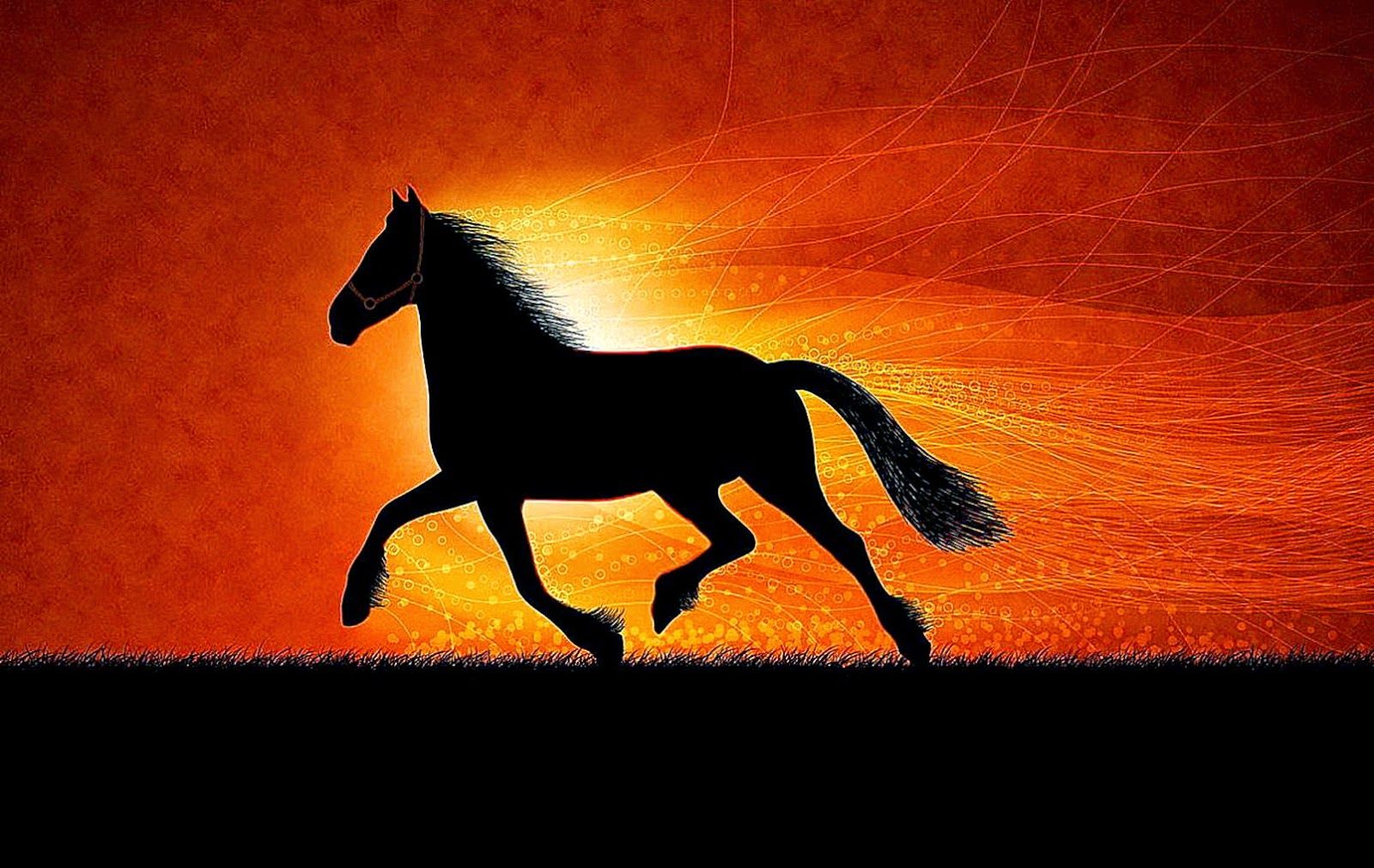 All About HD Wallpaper: Awesome Horse Wallpaper Background