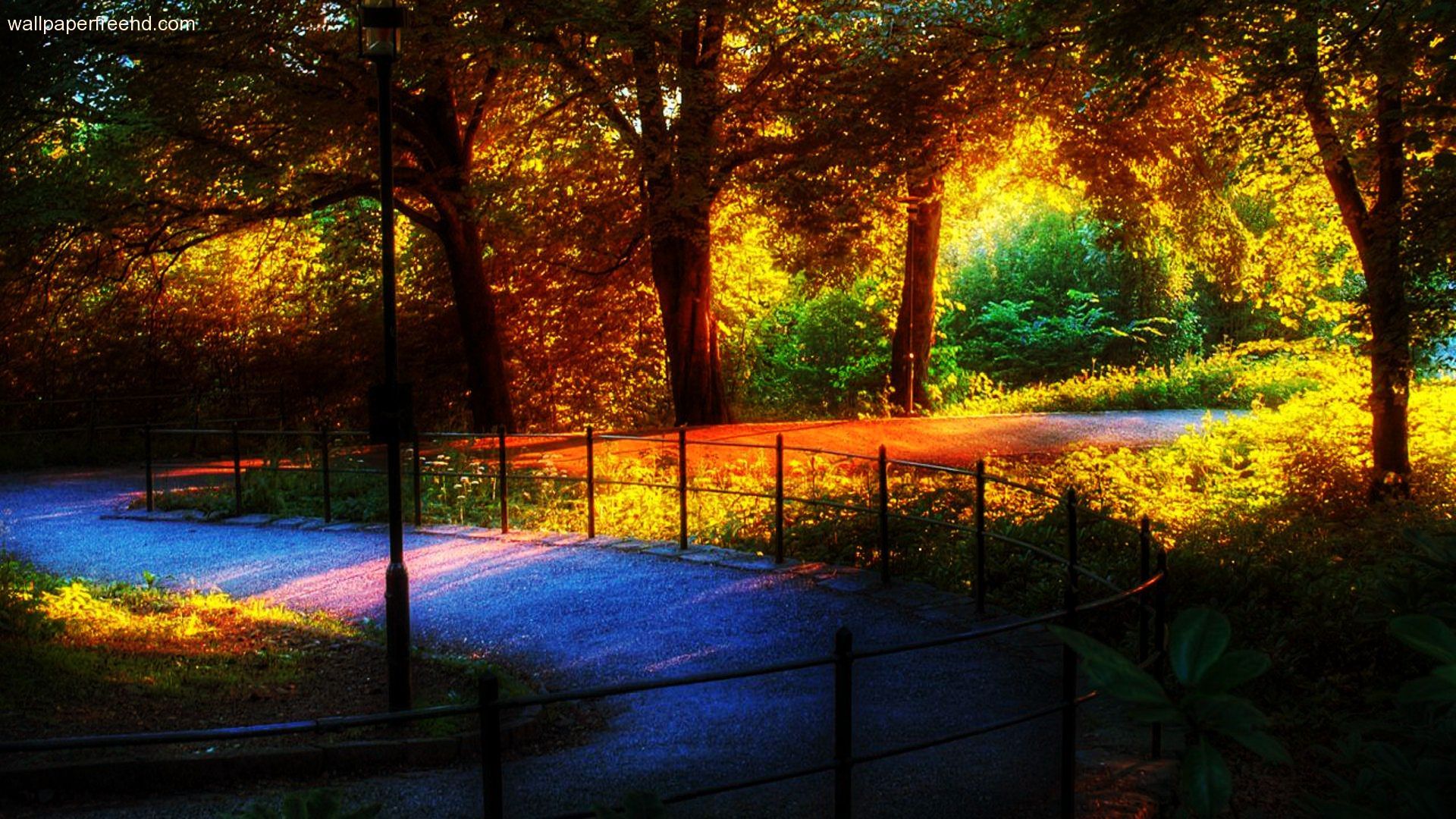 Amazing Nature Wallpaper Rainbow In The Park 1080p