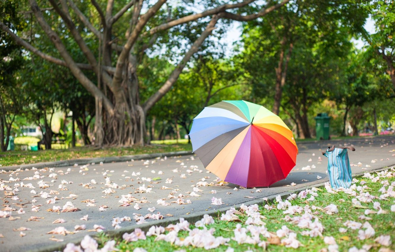 Wallpaper summer, Park, umbrella, colorful, rainbow, summer