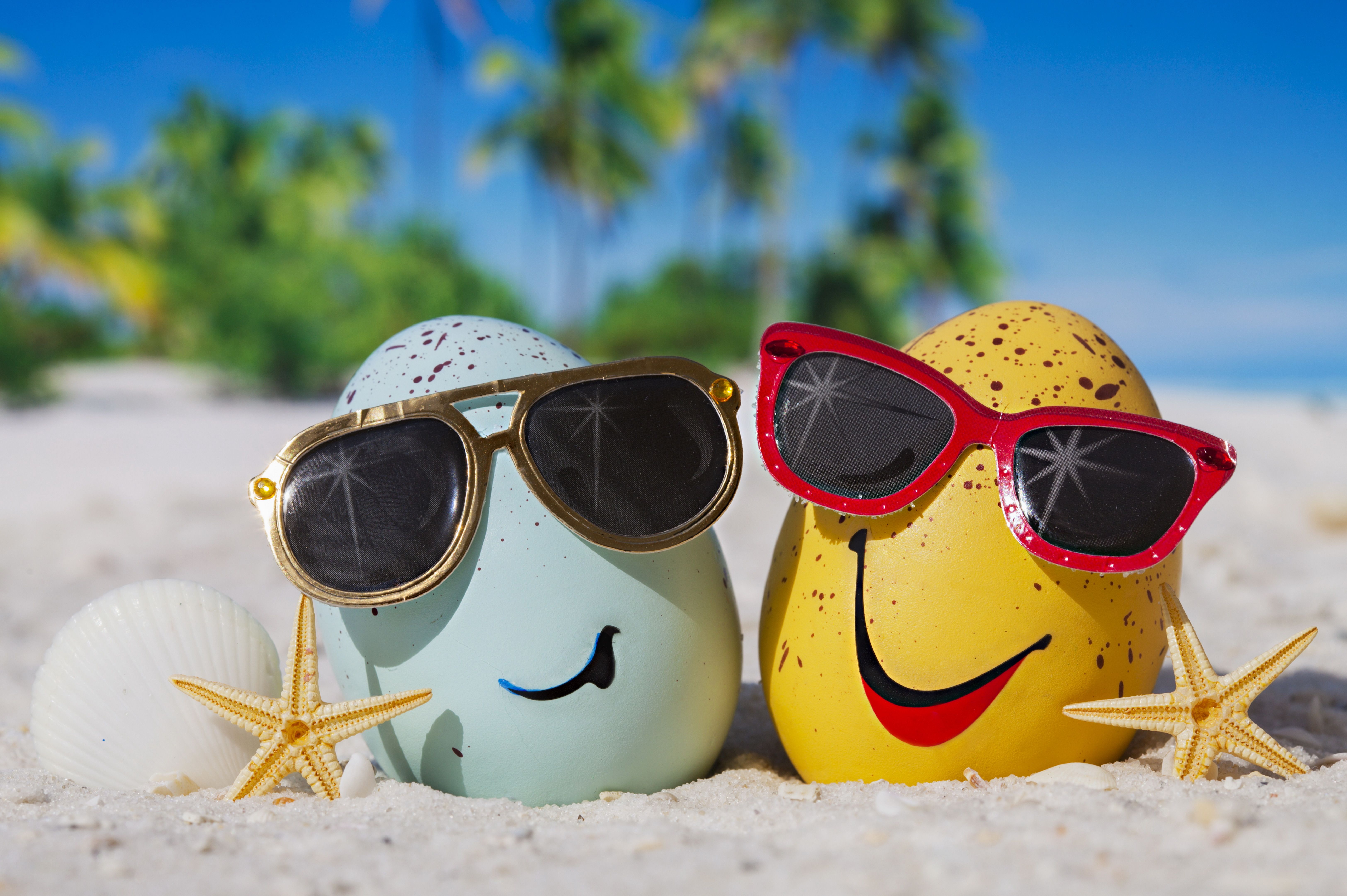 Two eggs in sunglasses on the sea sand in summer wallpaper