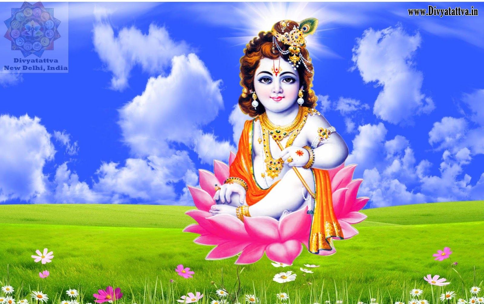 Free Download Image Of Baby Krishna