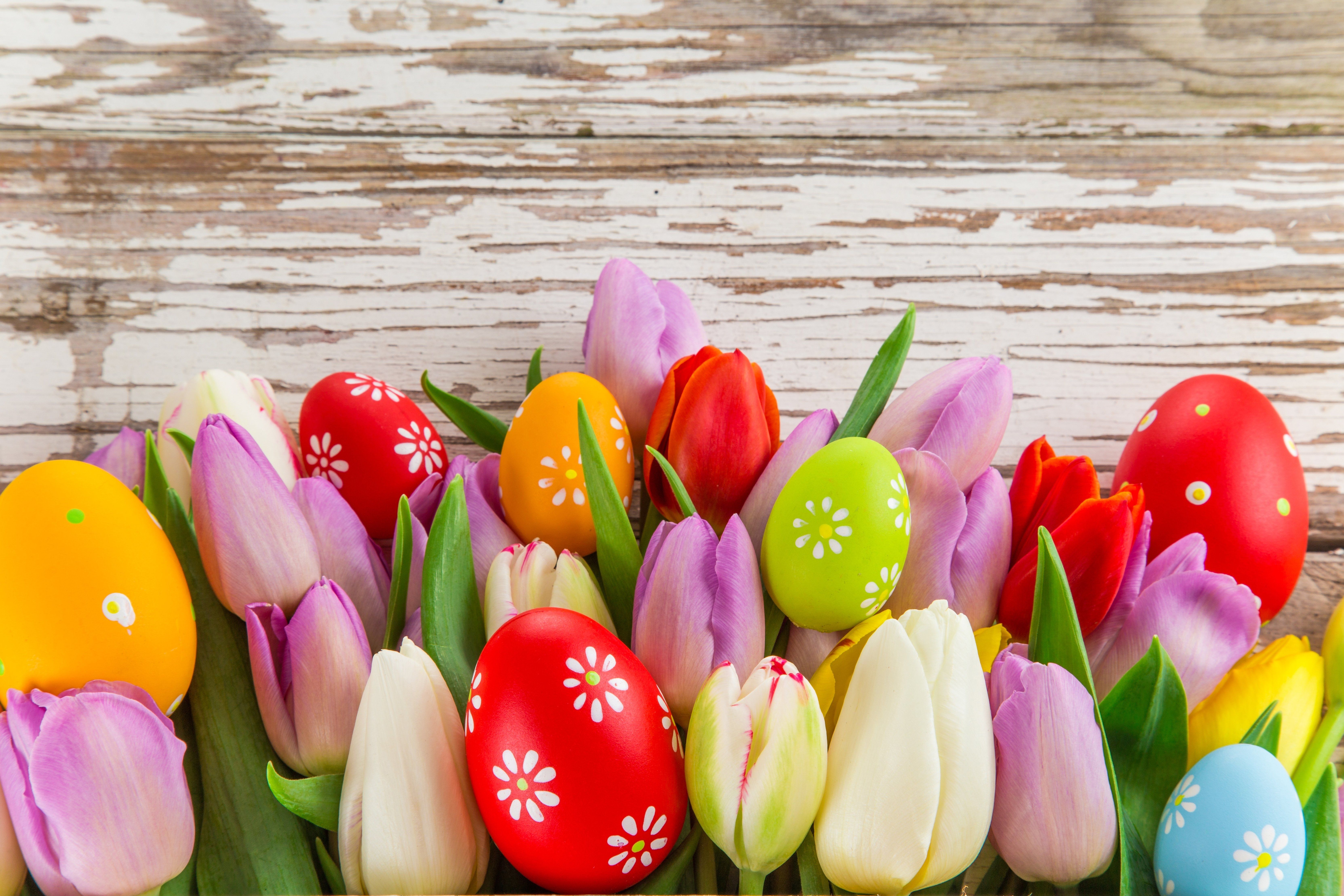 Free Easter Desktop Backgrounds posted by John Tremblay