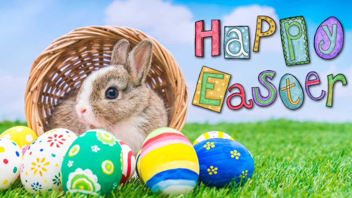 Happy Easter Image Cute Bunny & Eggs Pics