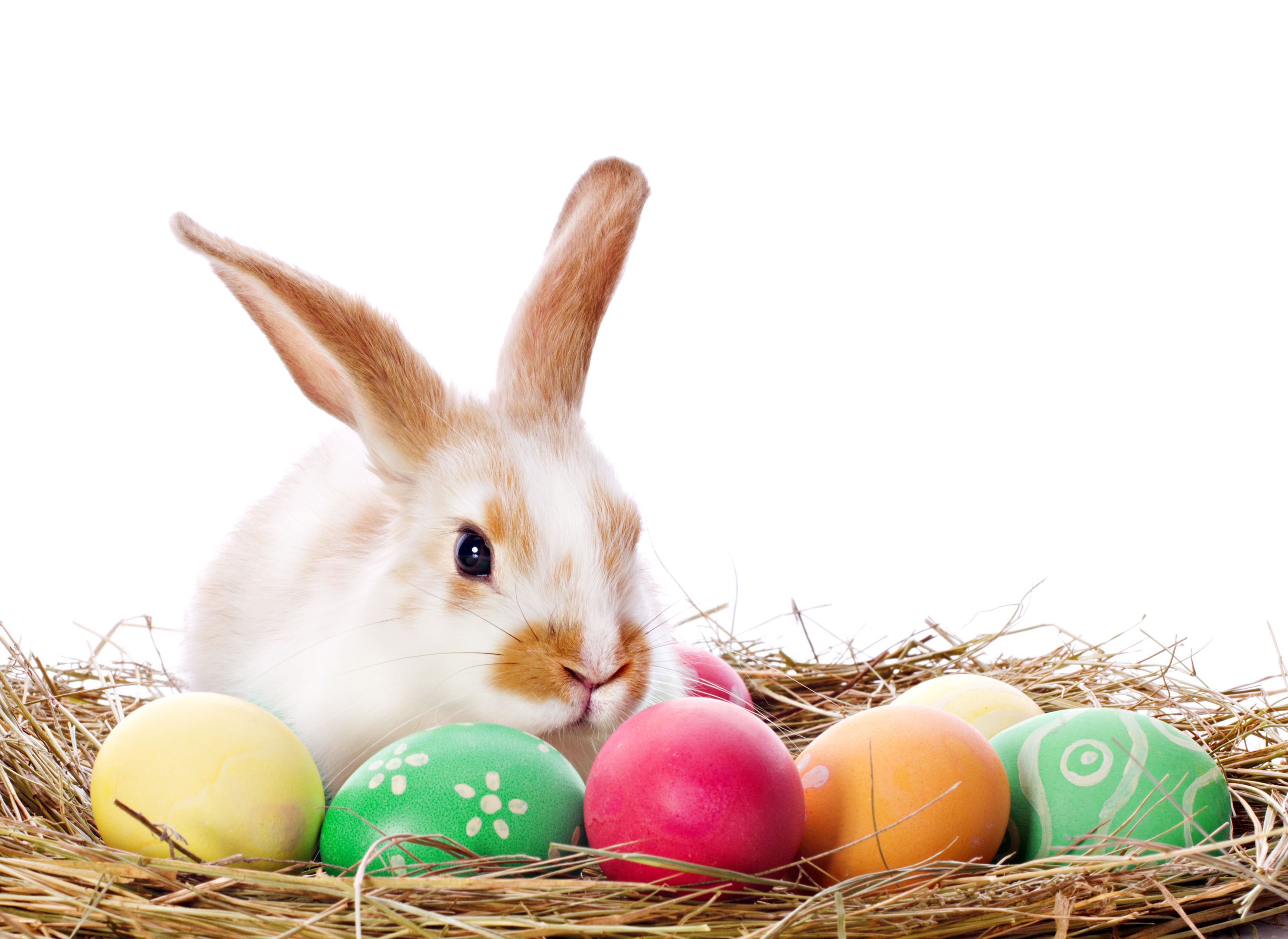 Happy Easter! We have some last minute openings today, so book