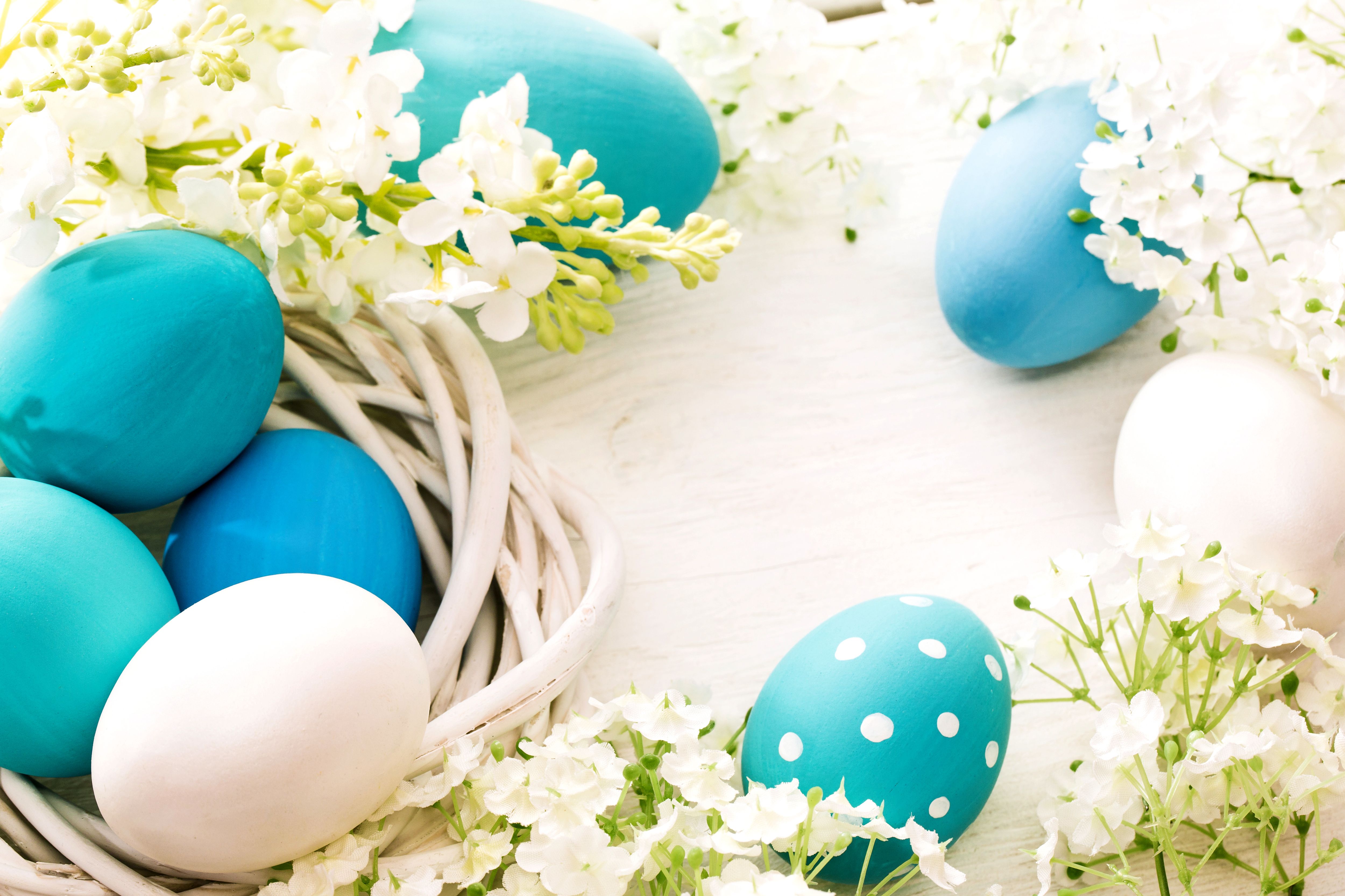 Blue Easter Eggs Background Quality