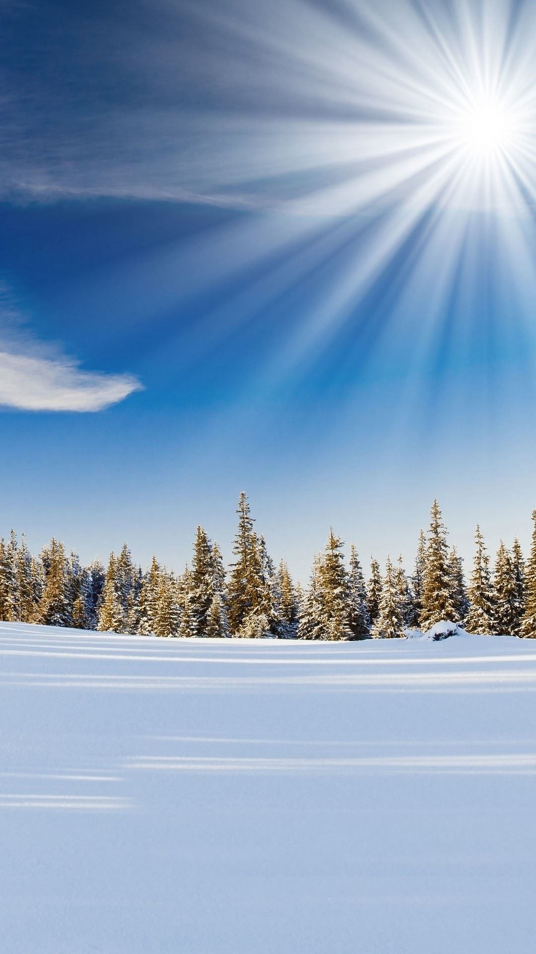 Sunlight Over Forest Snow Field Android Wallpaper free download