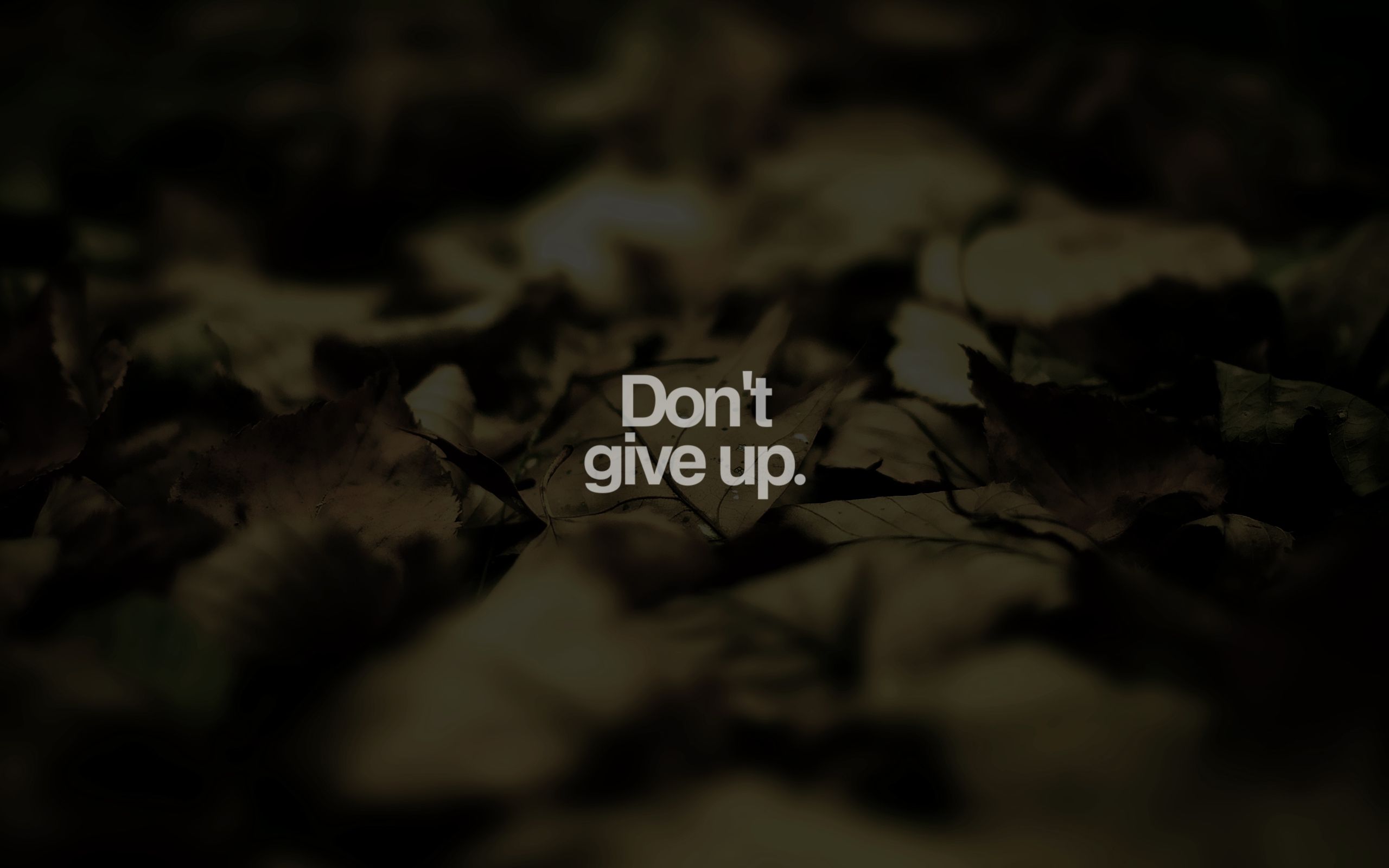 Don't Give Up Wallpaper. Give Thanks