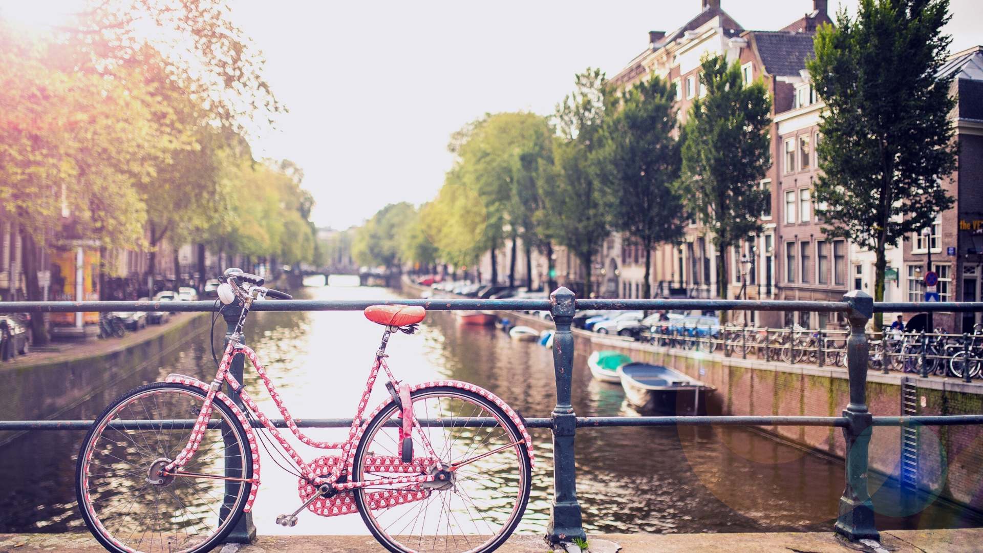 Beautiful Amsterdam iPhone Wallpaper To Inspire Your Wanderlust. Tulips & Travels