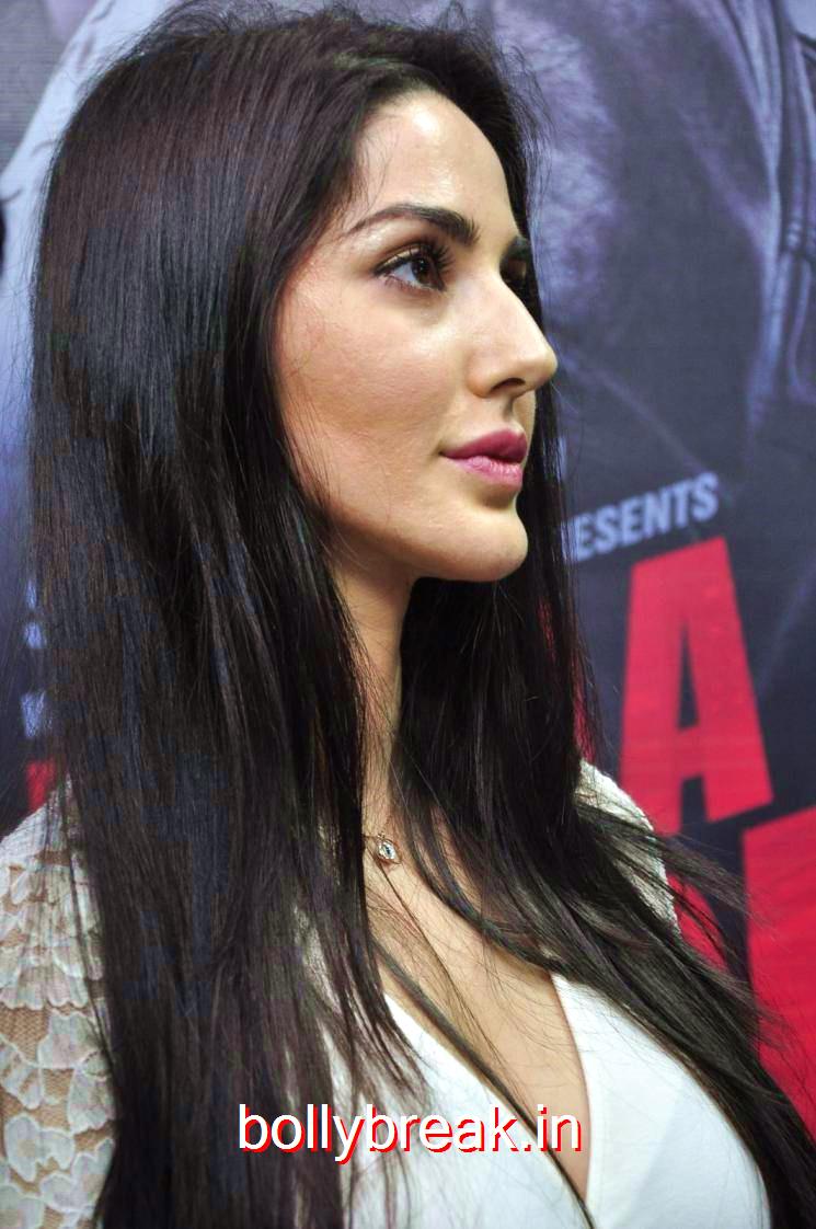 Farah Karimaee HD, Farah Karimaee HD Wallpaper Free Download, HD