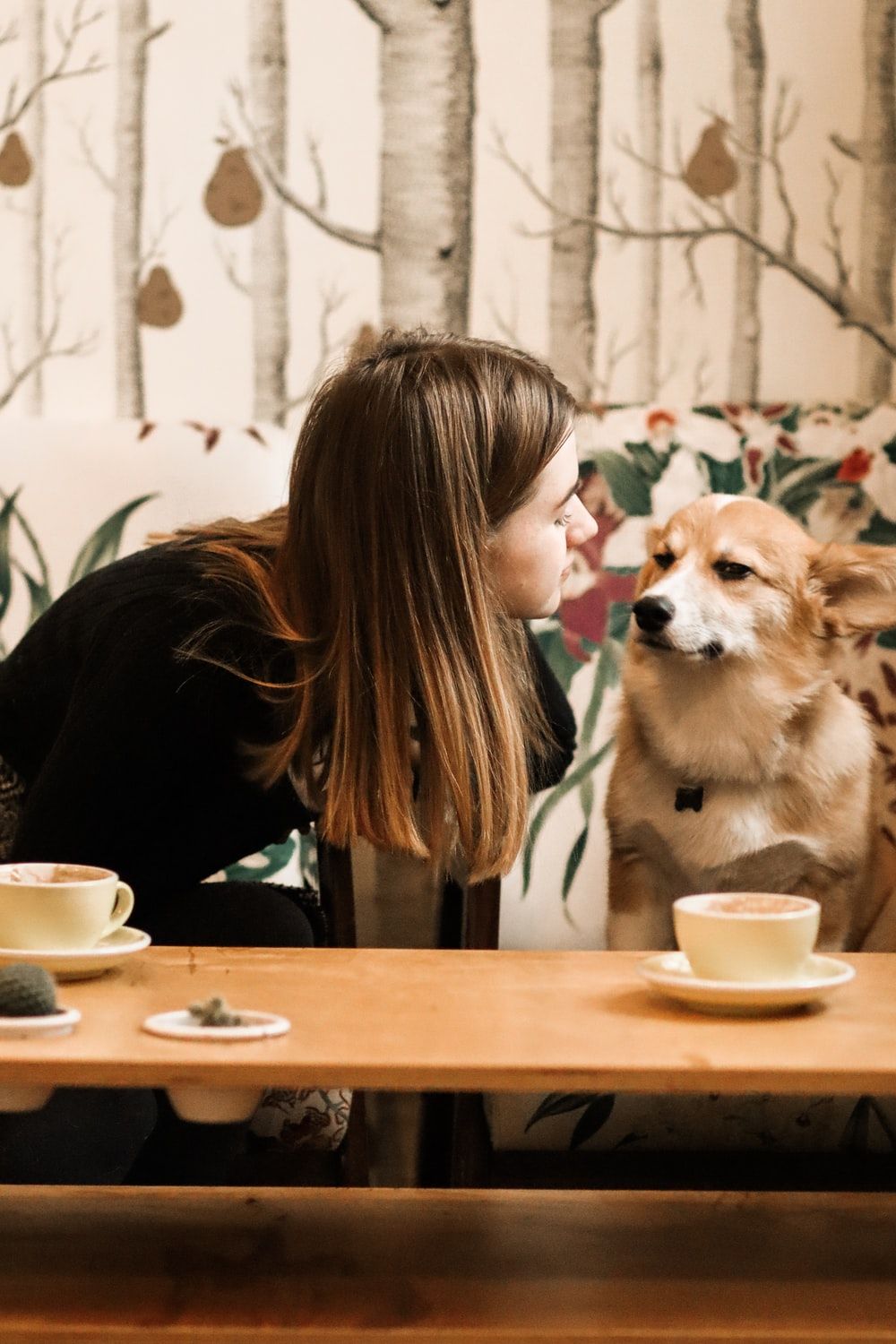 Dog Coffee Picture. Download Free Image