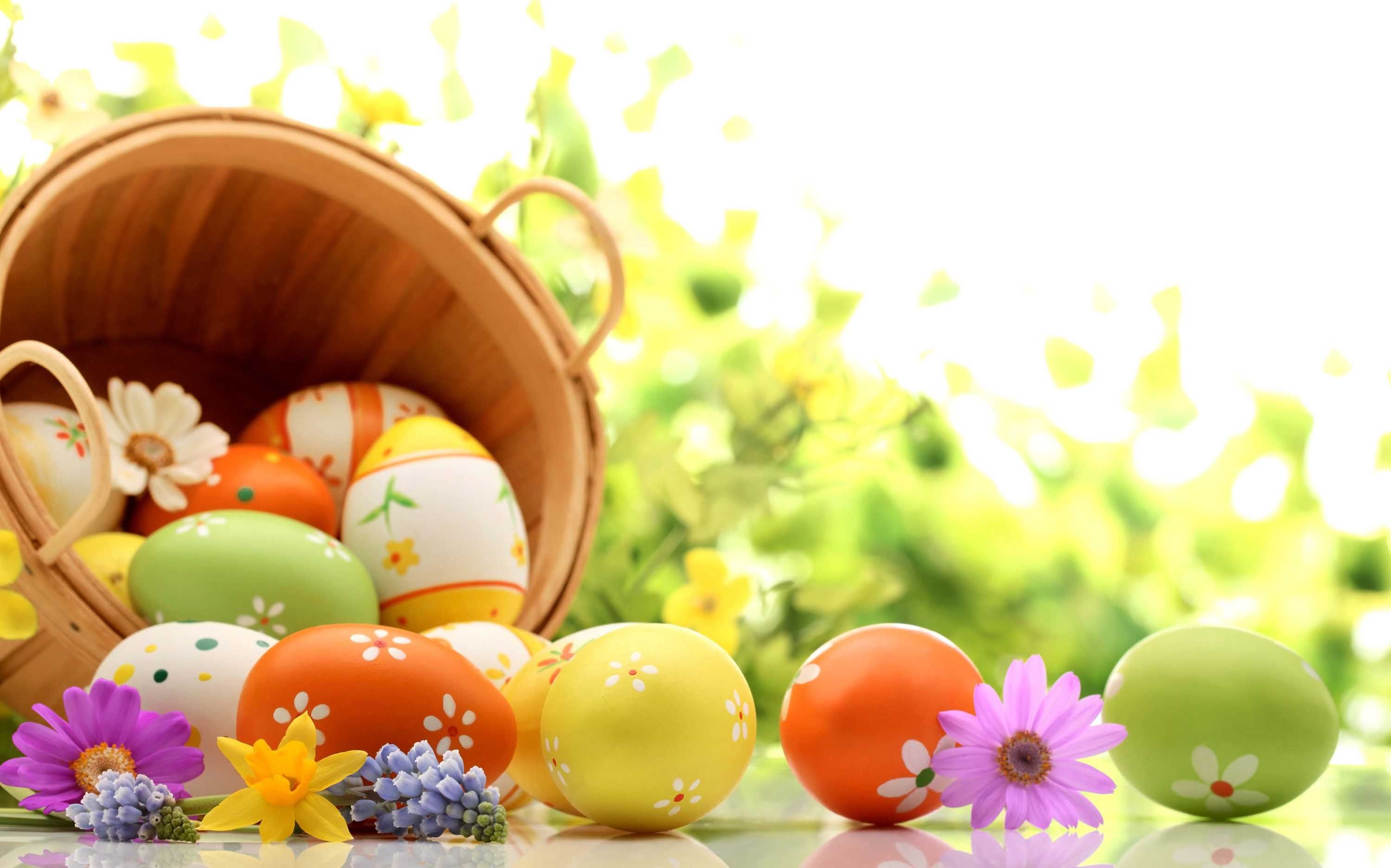 Holidays Easter Basket Of Eggs On Green Background Wallpaper