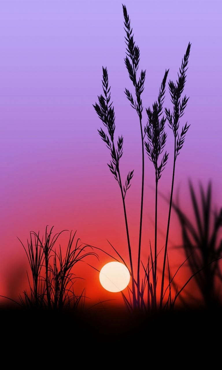 purple sunset. Sunset wallpaper, Nature wallpaper, Nature photography