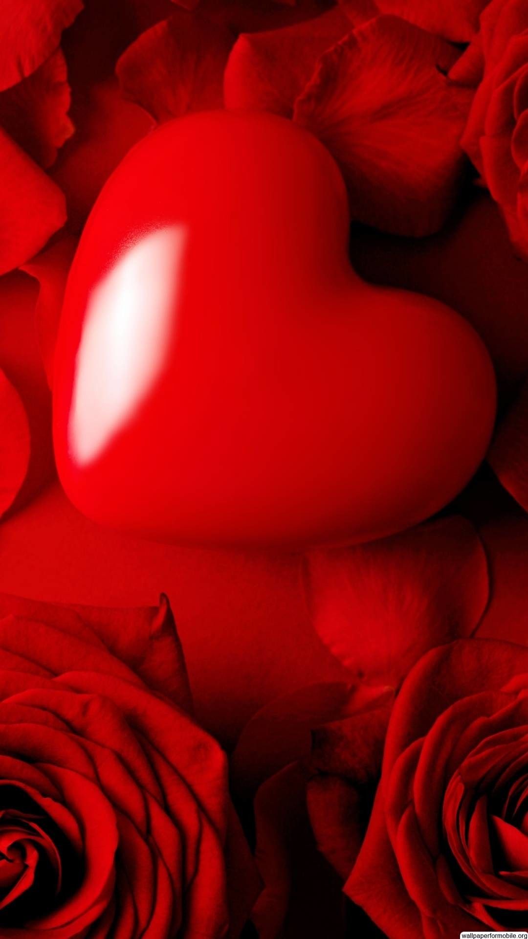1080x1920, Rose Love Wallpaper HD Wallpaper