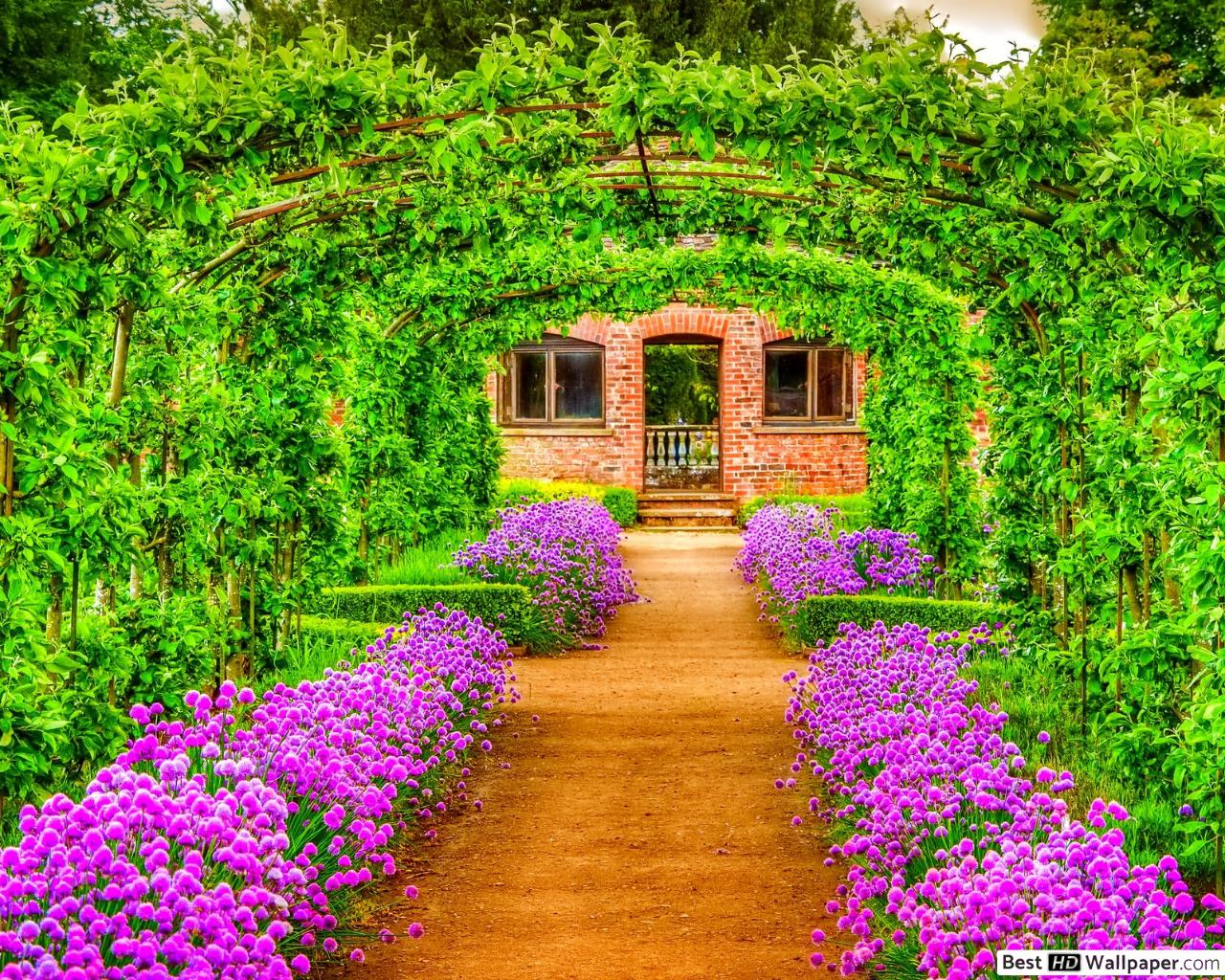 Way to Home in Spring HD wallpaper download