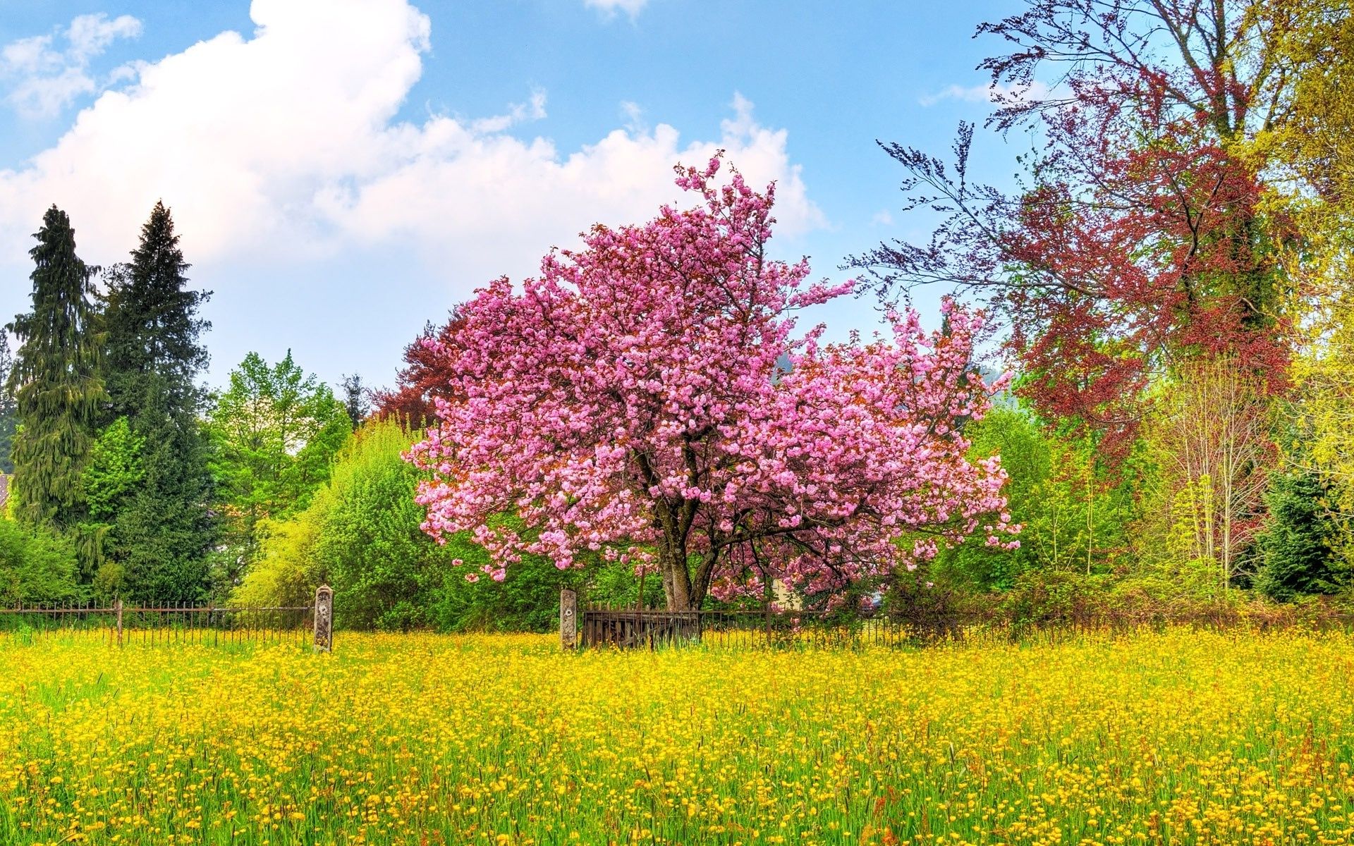 Spring Landscape Wallpaper, Spring Landscape Screensaver