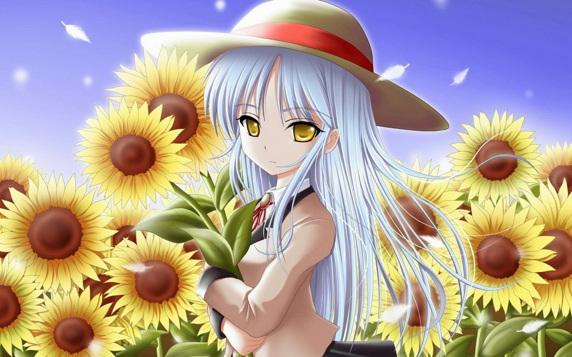 Download <== Girl In Sunflower Field, HD Wallpaper
