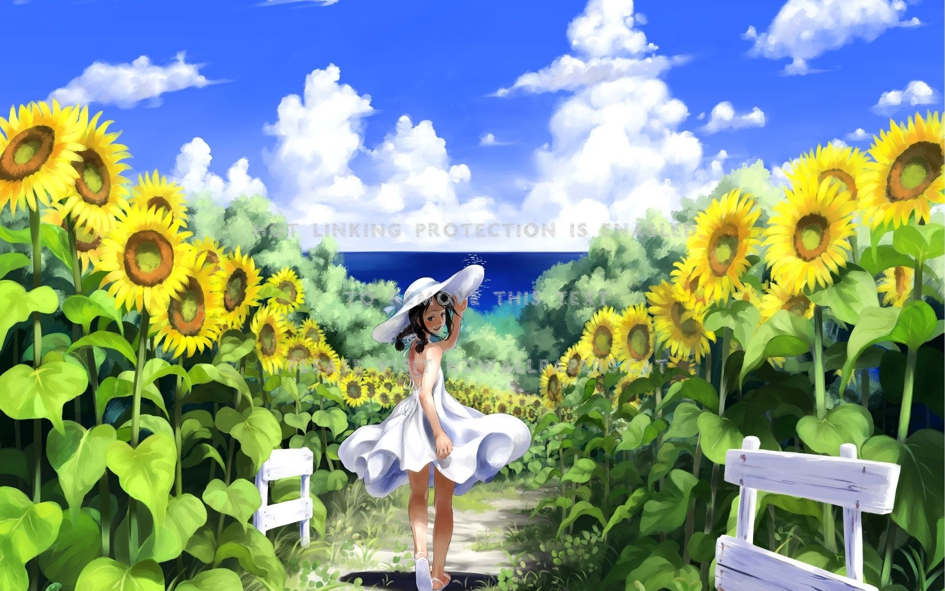 girl in sunflowers field anime