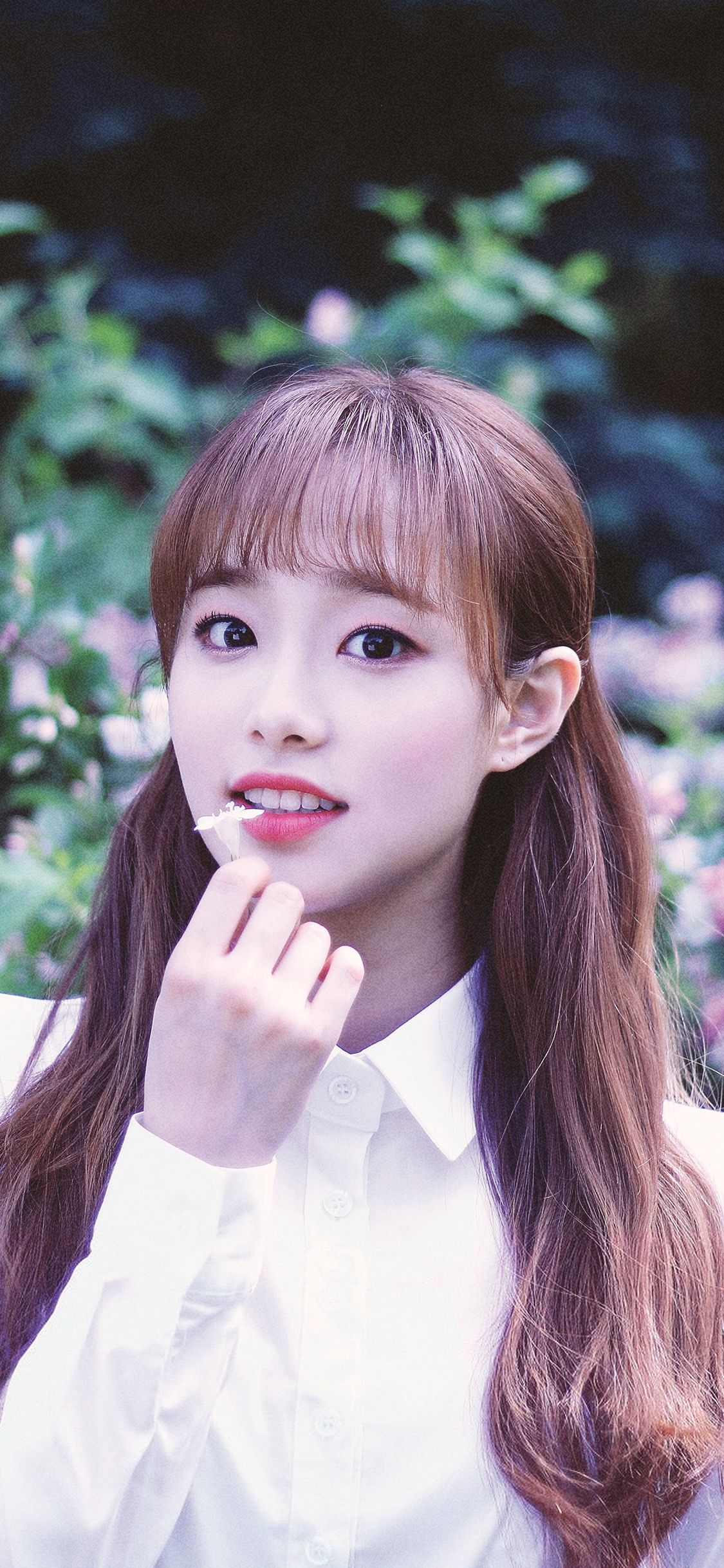 Chuu Chloe Wallpaper