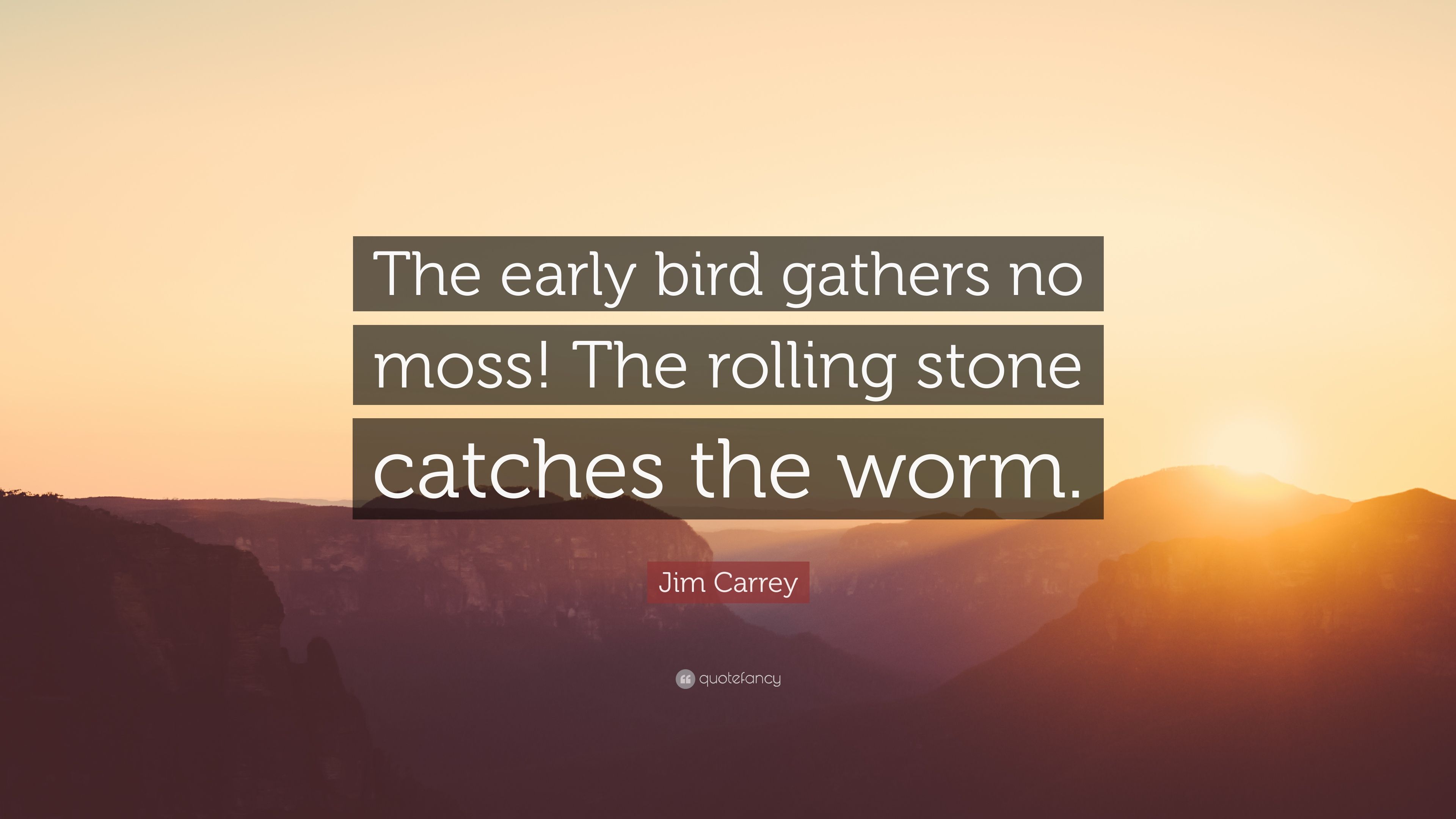 Jim Carrey Quote: “The early bird gathers no moss! The rolling