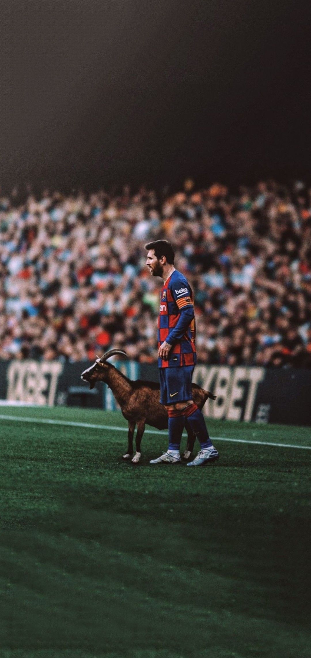 Messi. Lionel messi, Messi