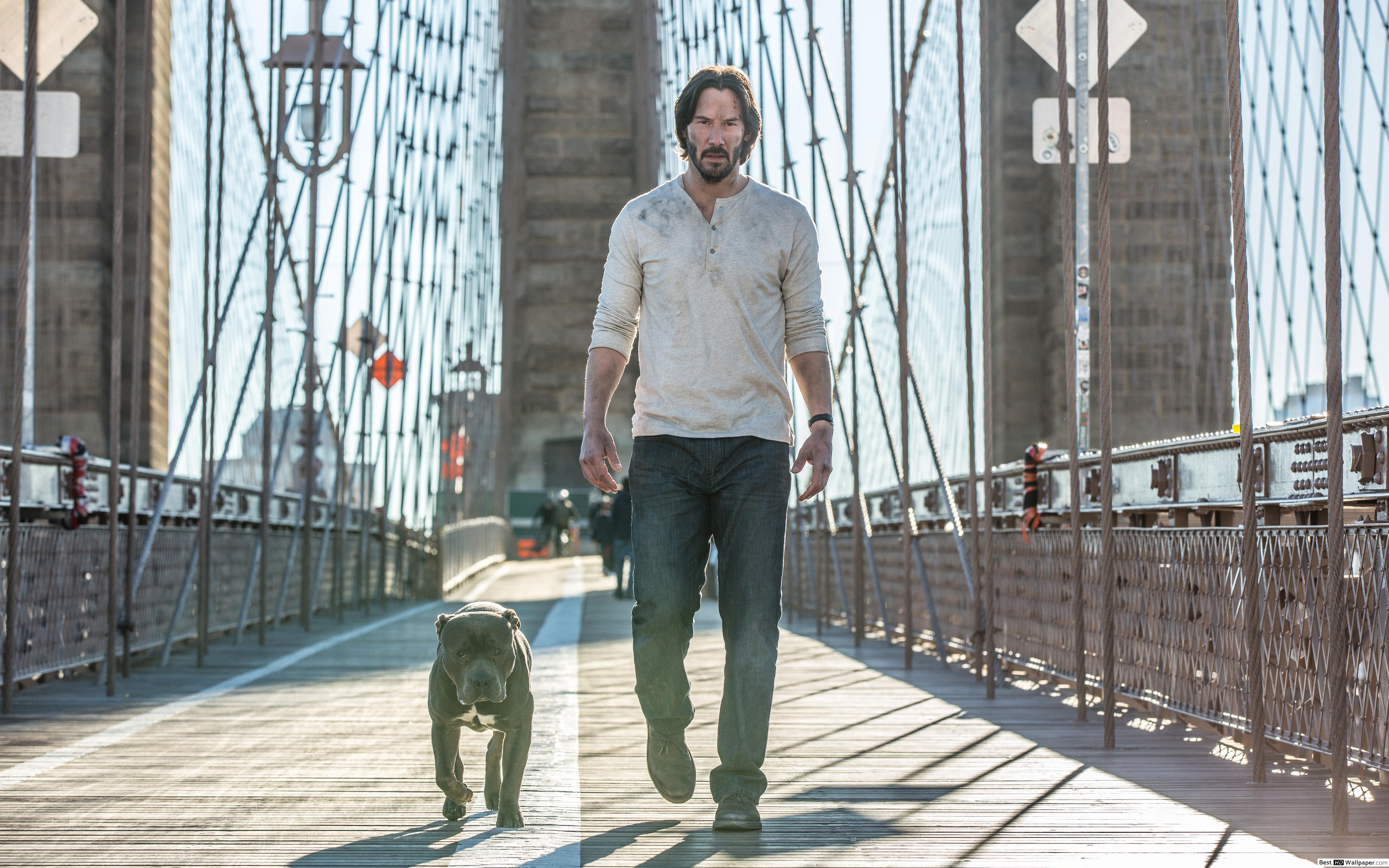 John Wick & Dog HD wallpaper download