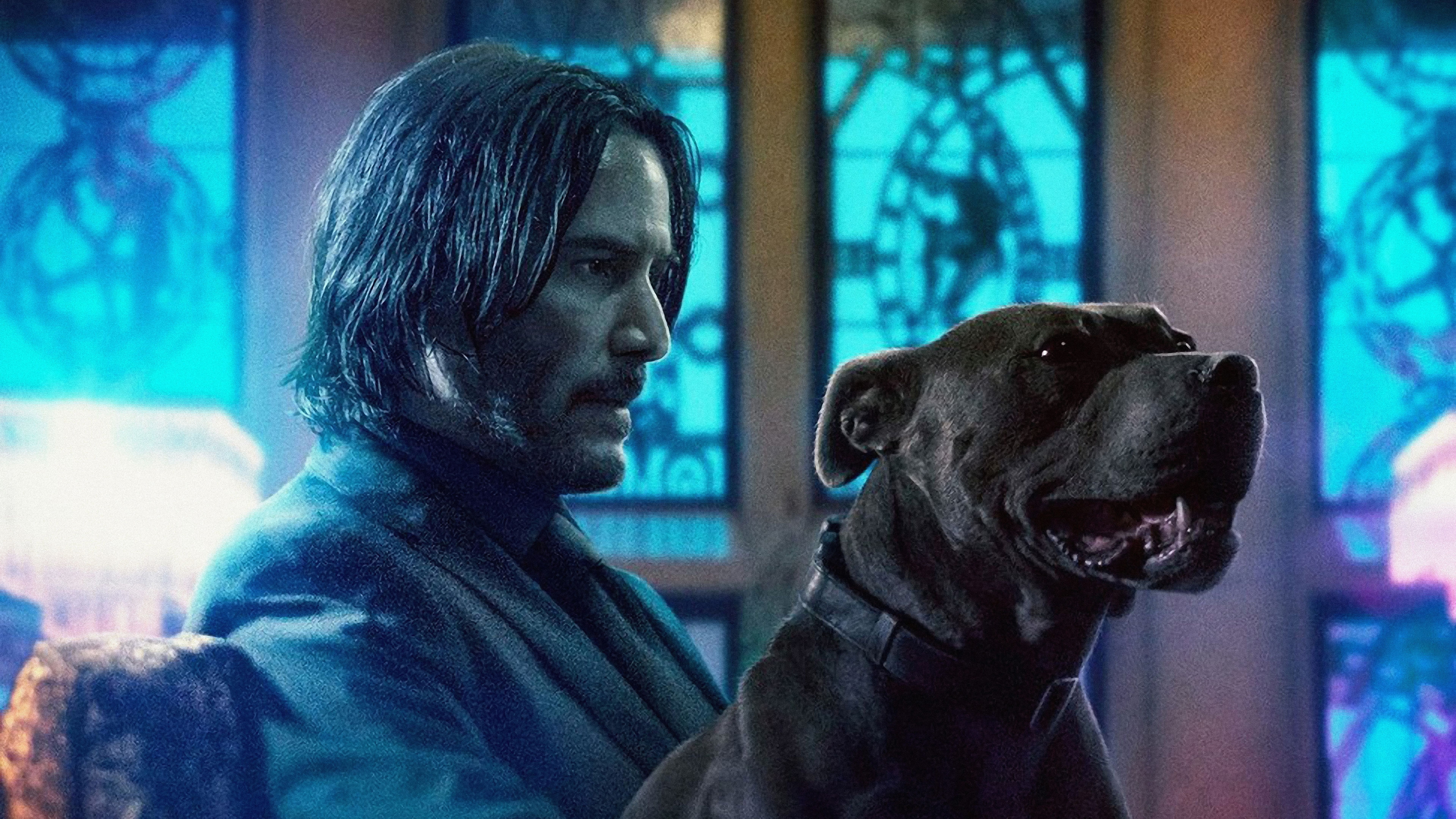 John Wick 3 Dog Keanu Reeves 8K Wallpaper
