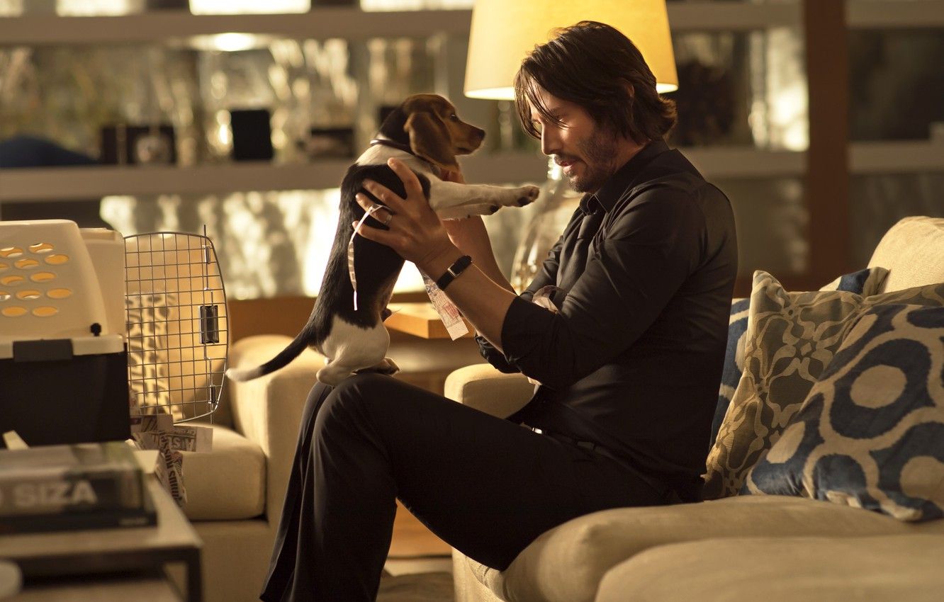 Wallpaper the film, dog, male, Keanu Reeves, John Wick, John Wick