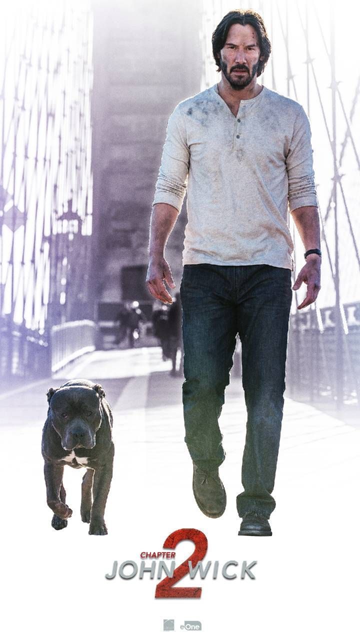 Download John Wick Dog Wallpaper