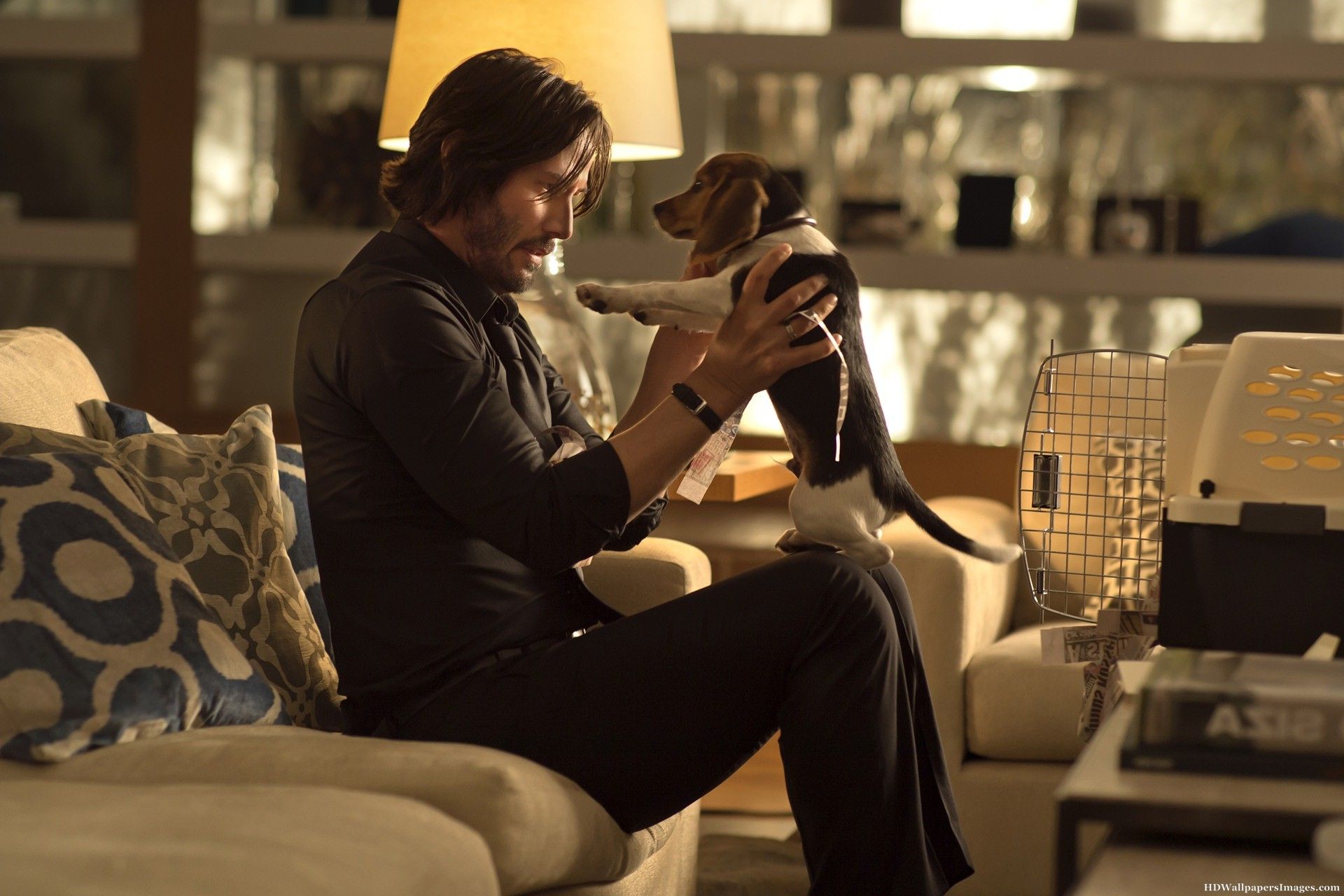 John Wick With Dog Wallpapers Wallpaper Cave