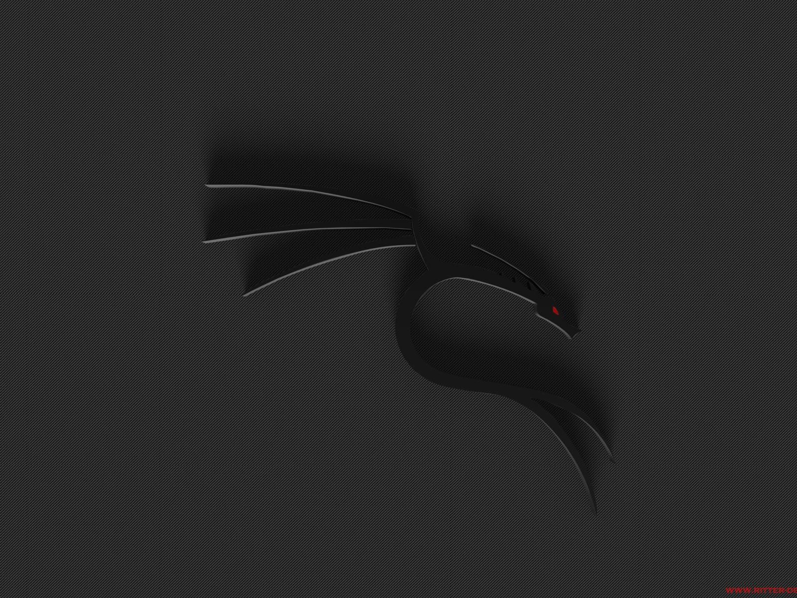 Wallpaper Black Dragon Kali Linux On Desktop.com