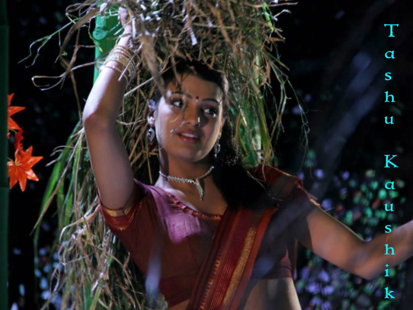 Tashu Kaushik HD Wallpaper. Latest Tashu Kaushik Wallpaper HD