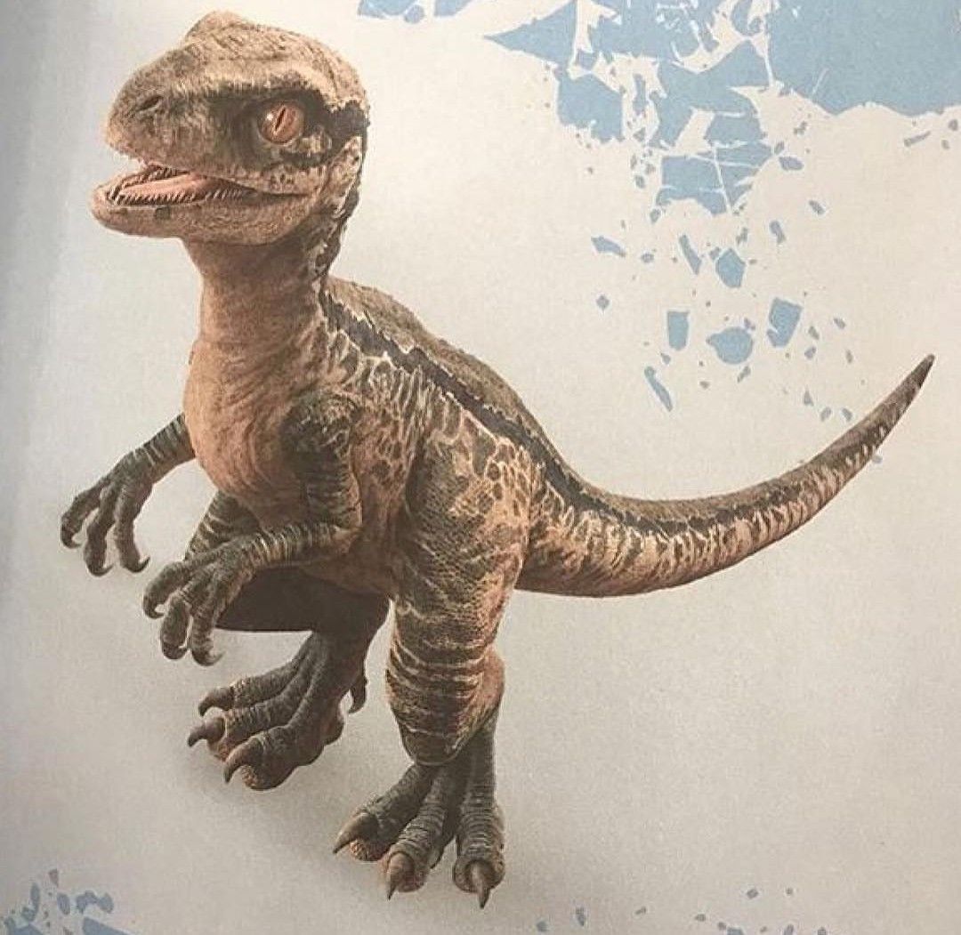 indoraptor cute