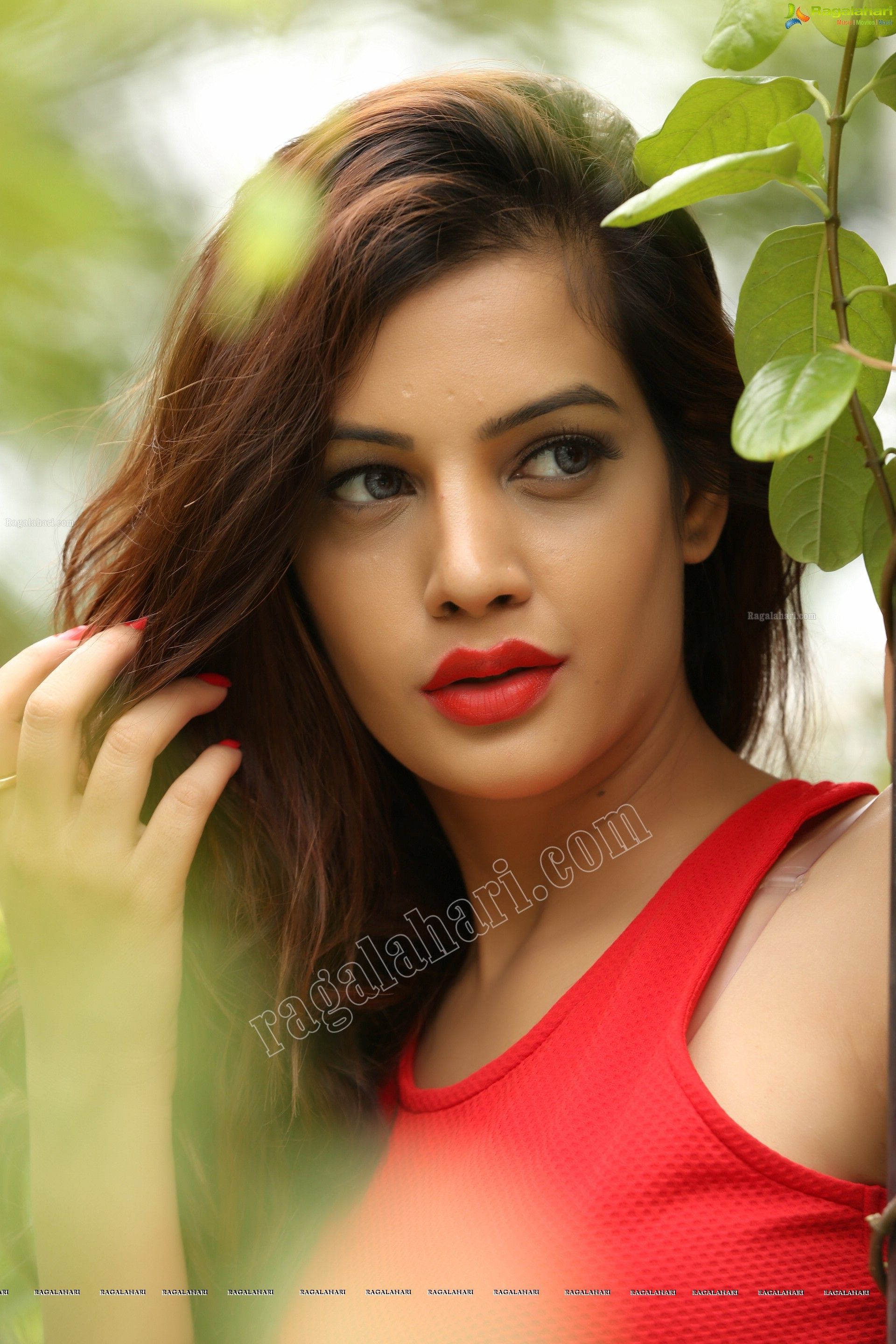 Diksha Panth (High Definition) (Exclusive) Image 48. Photo, Image