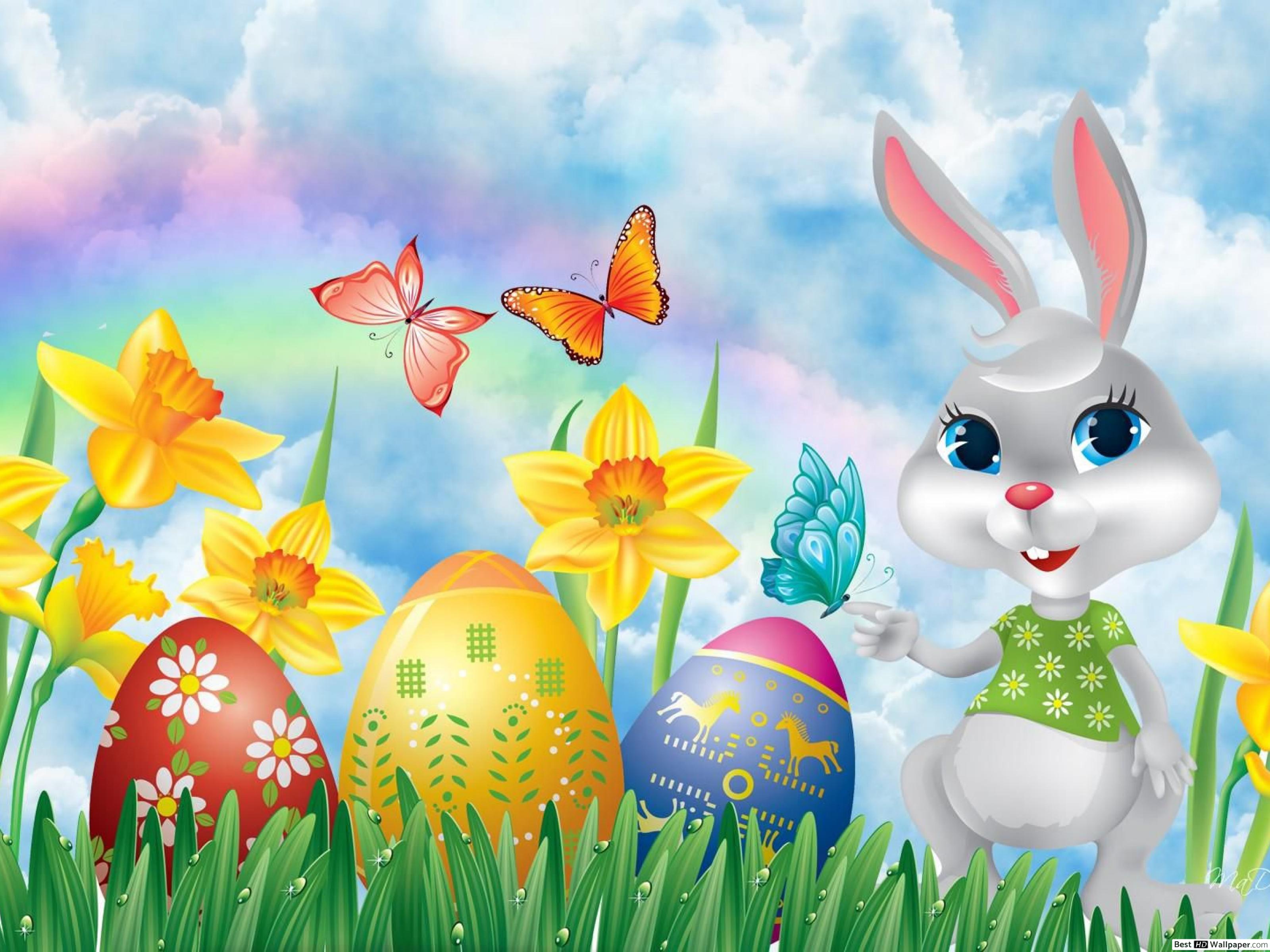 Easter Bunny, Easter Eggs, and Daffodils HD wallpaper download