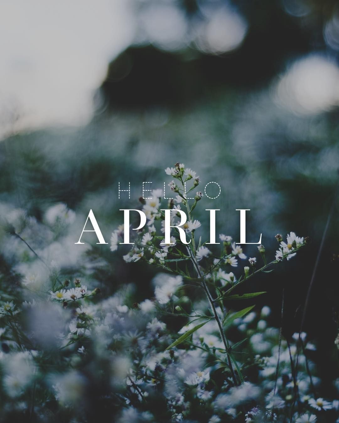 Hello April! Please be good to us. #PicLab. Spring wallpaper