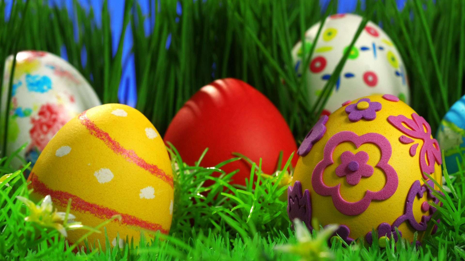 Decorated Easter Eggs in Grass HD Wallpaper FullHDWpp HD