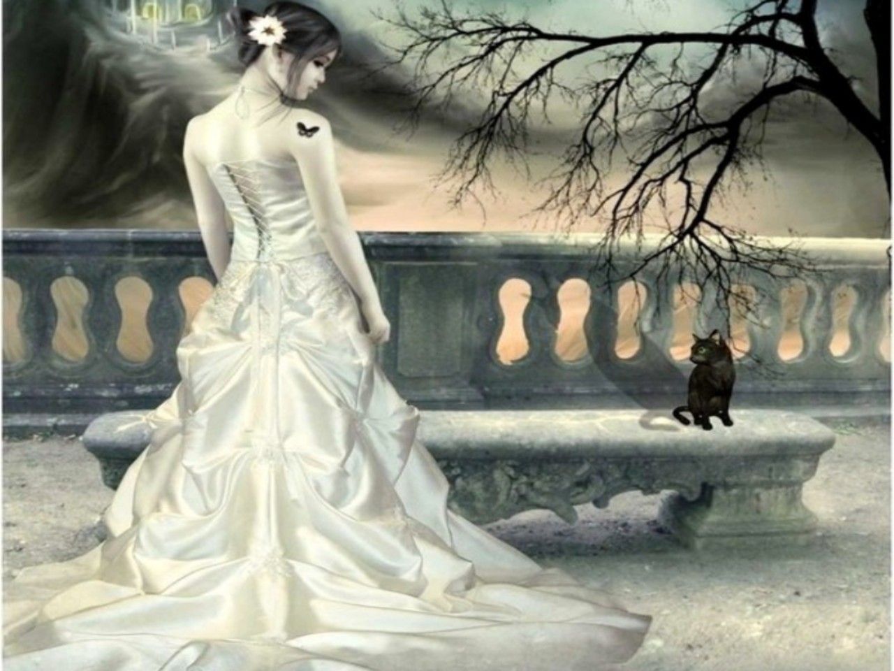 The White Wedding Dress Image
