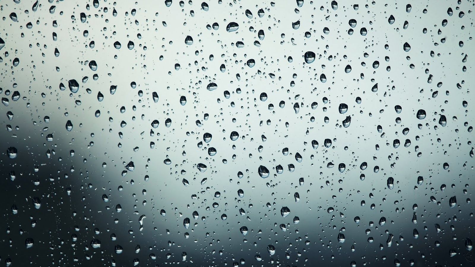 Free download wallpaper rain wallpaper HD rain wallpaper