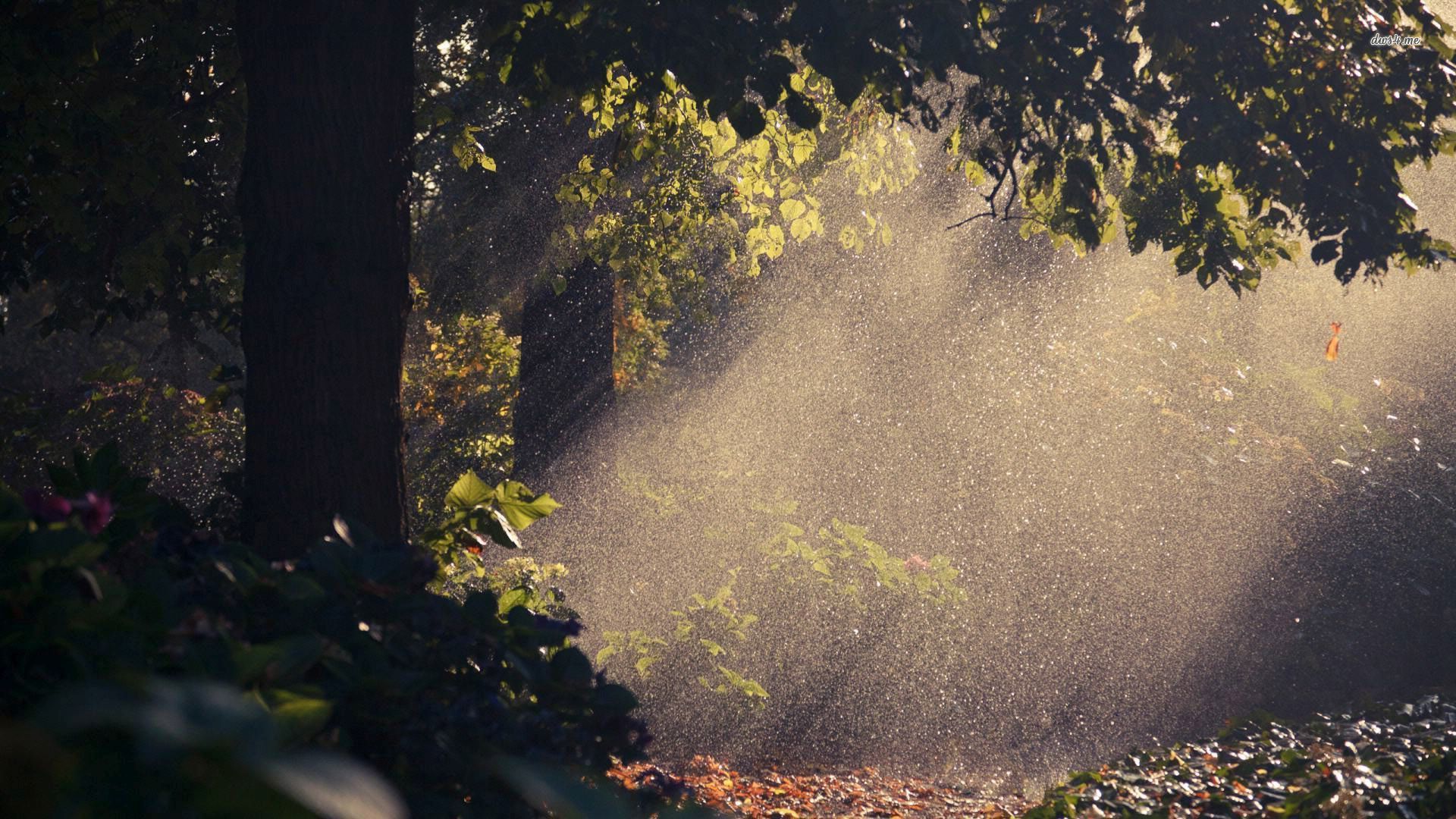 Summer Rain Desktop Background