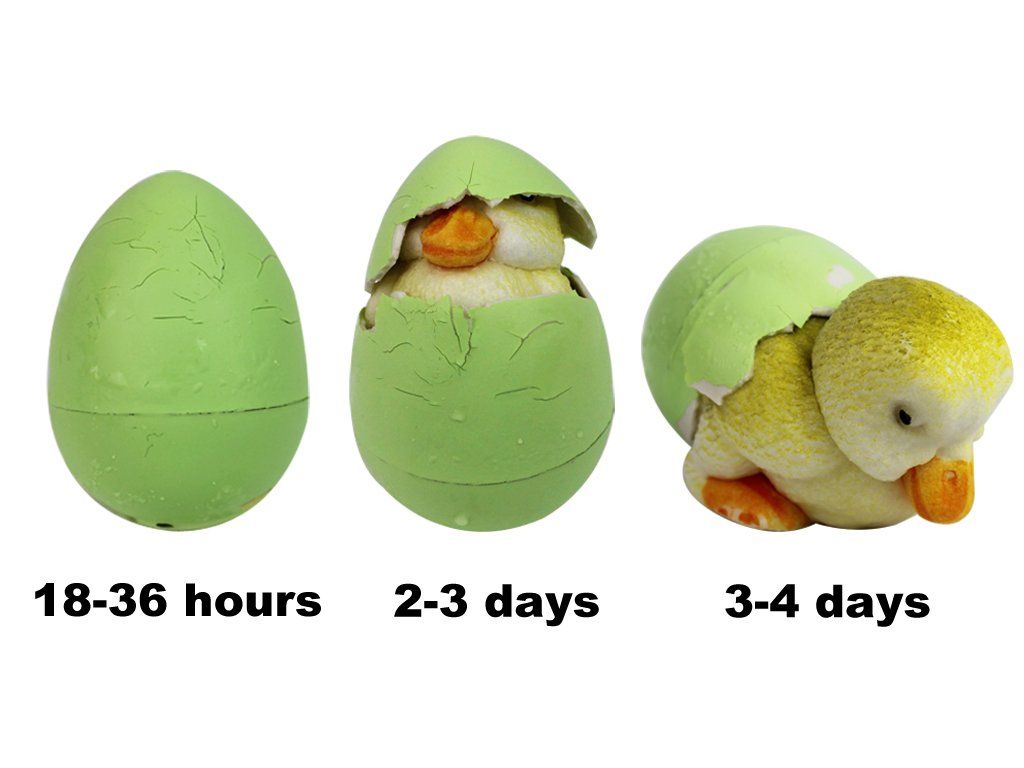 Dad of Divas' Reviews: Make Easter Fun With Hide 'em & Hatch 'em eggs