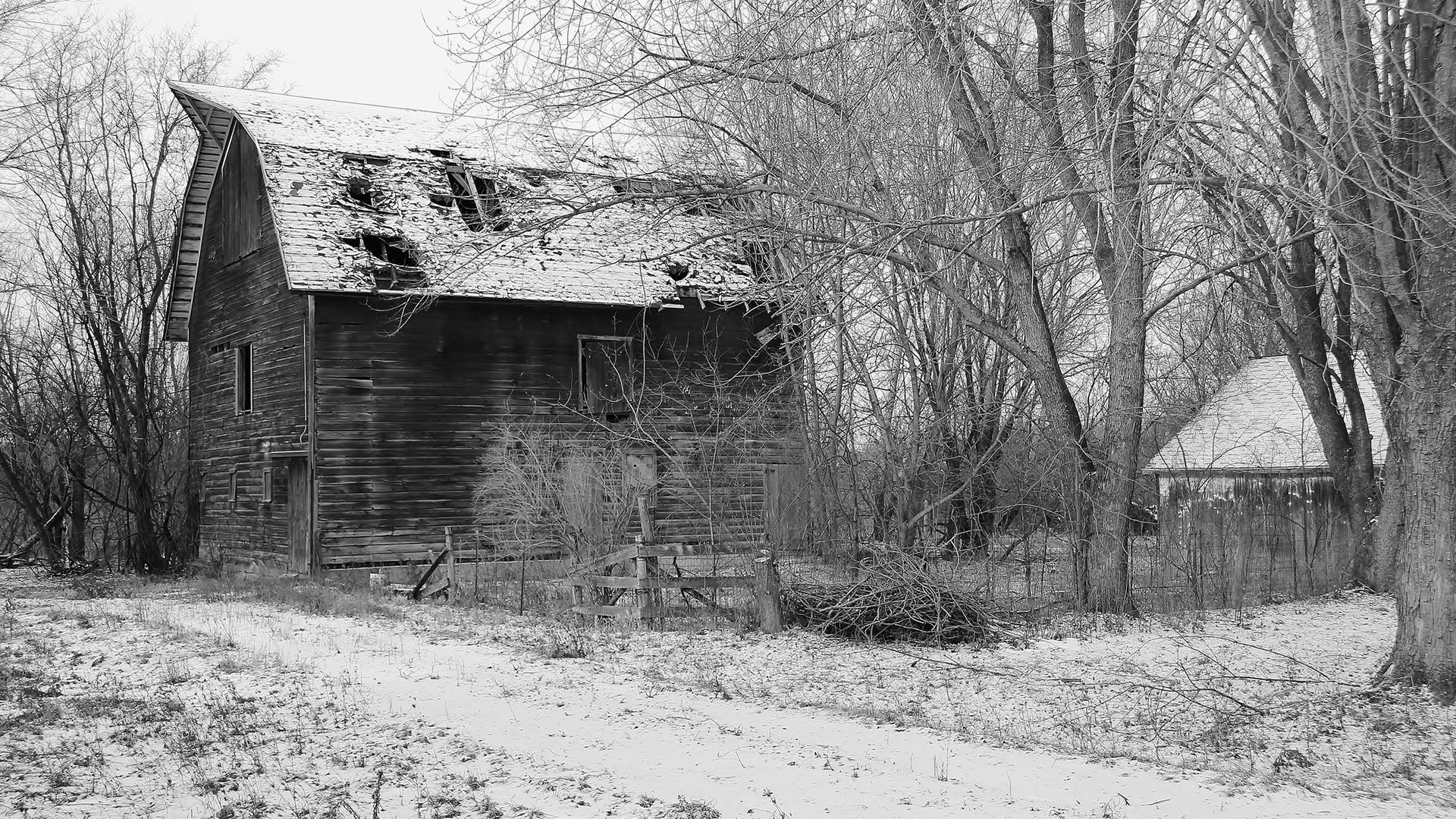 Black white farm buildings rustic trees house barn ruin decay