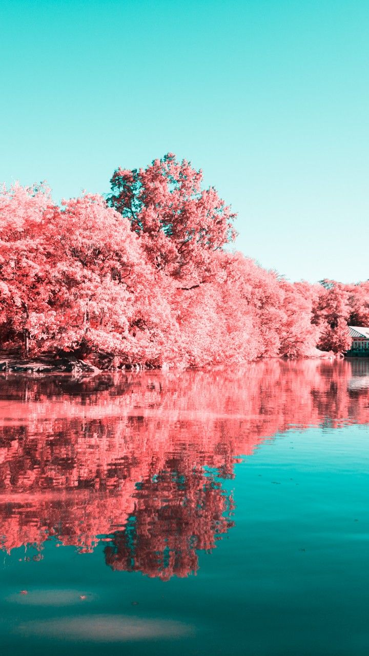 Wallpaper Central Park, Manhattan, New York City, 4K, Photography