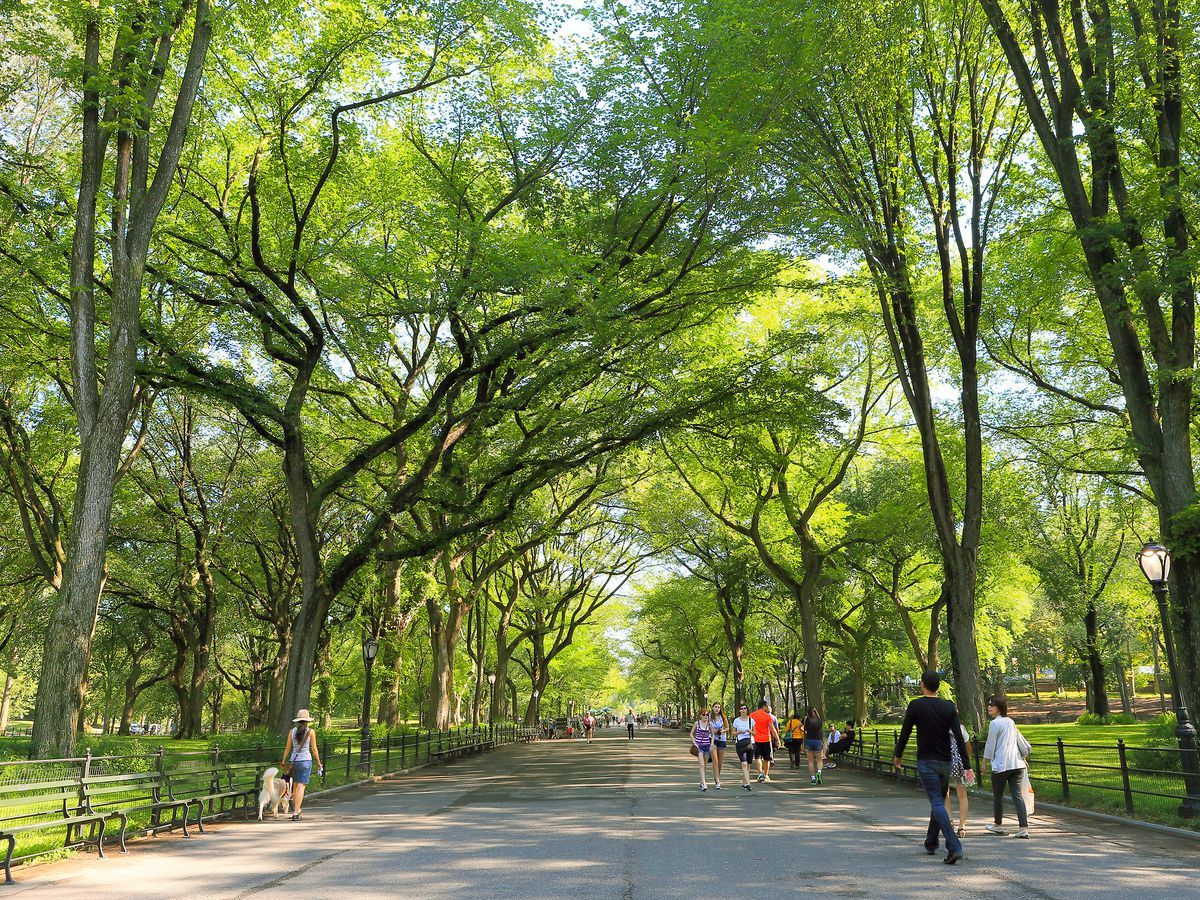 Central Park: secrets of New York's most famous park