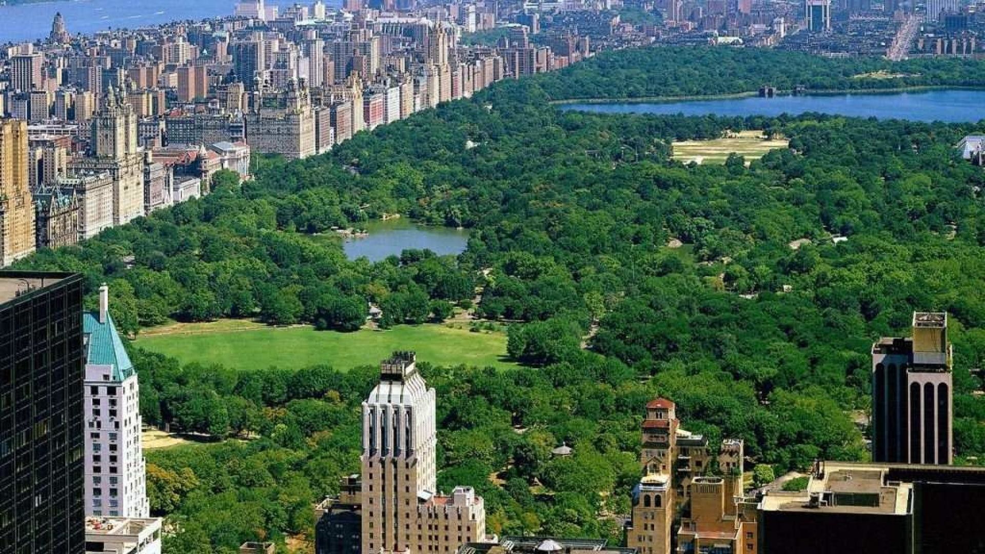 Central Park Wallpaper