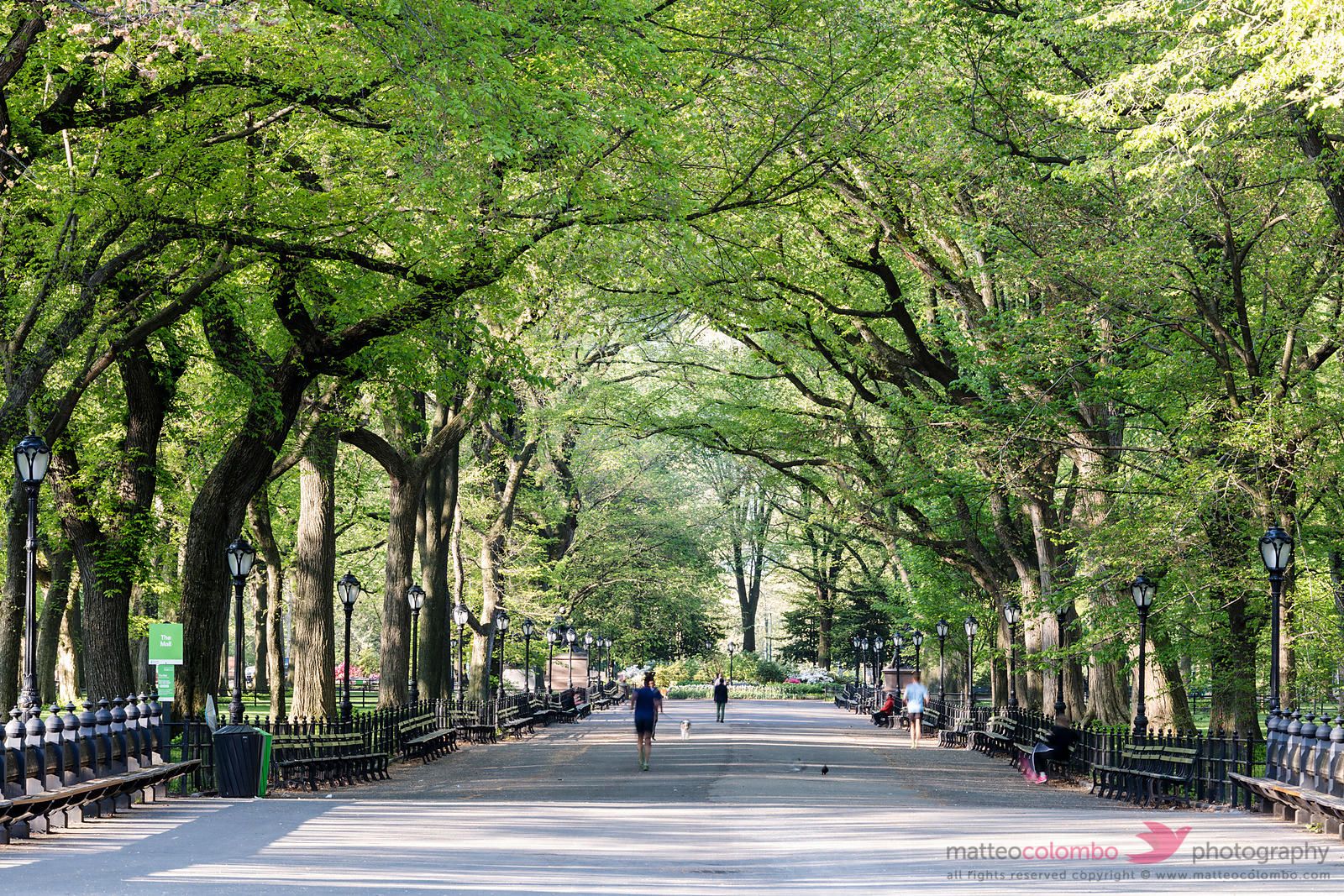 Matteo Colombo Travel Photography. The Mall in spring, Central